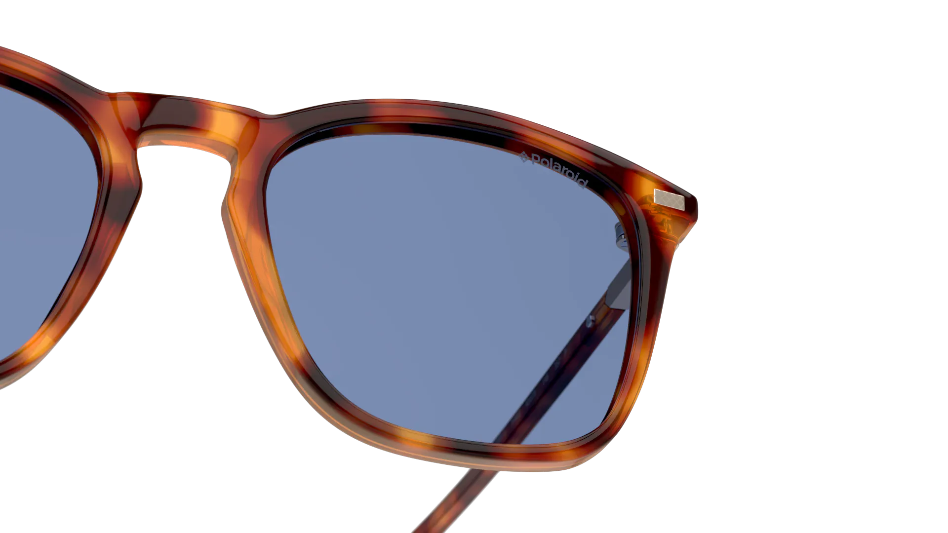 Detail01, Polaroid P4000266 86