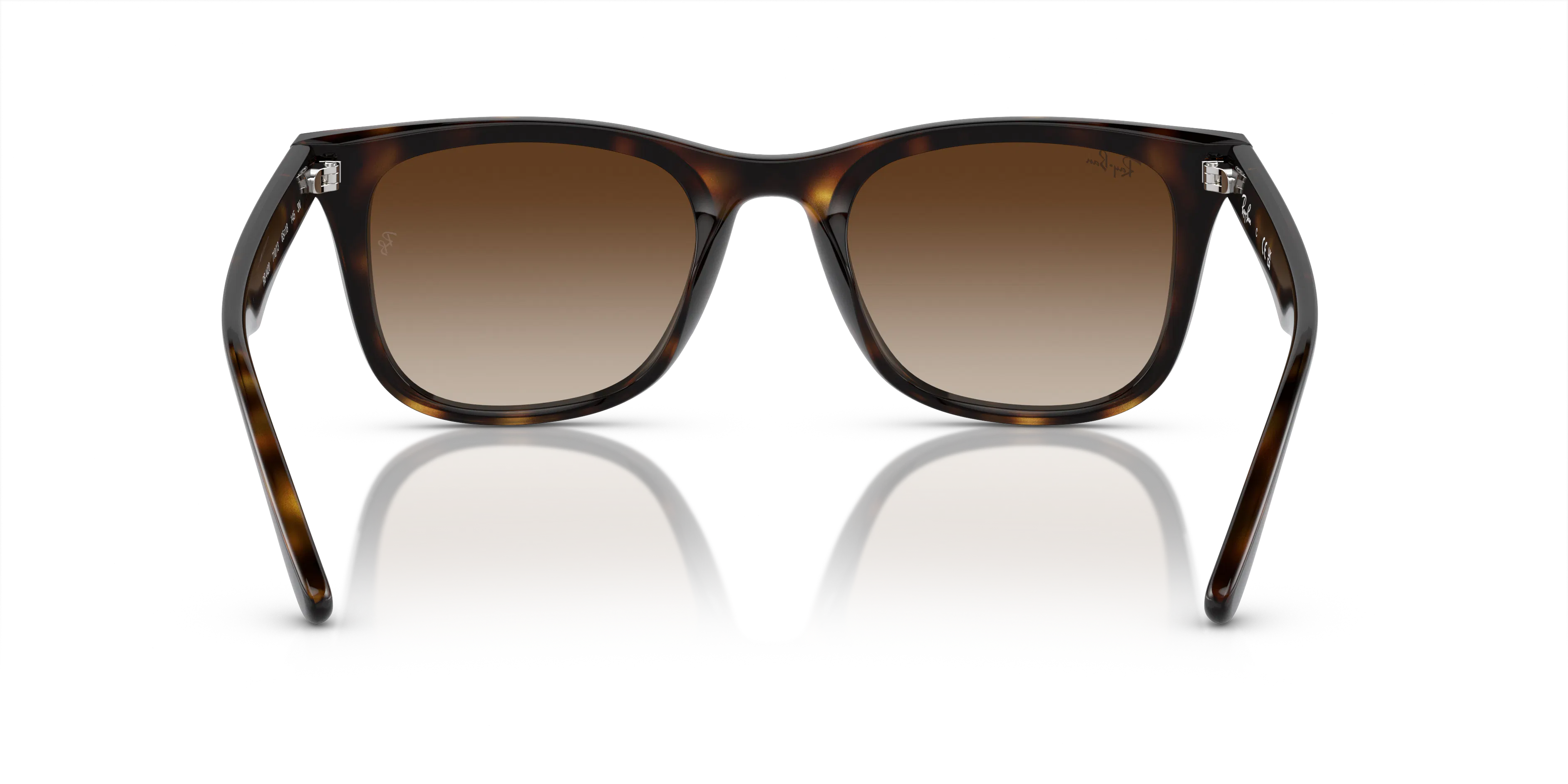 Detail02, Ray-Ban RB 4420 Sunglasses