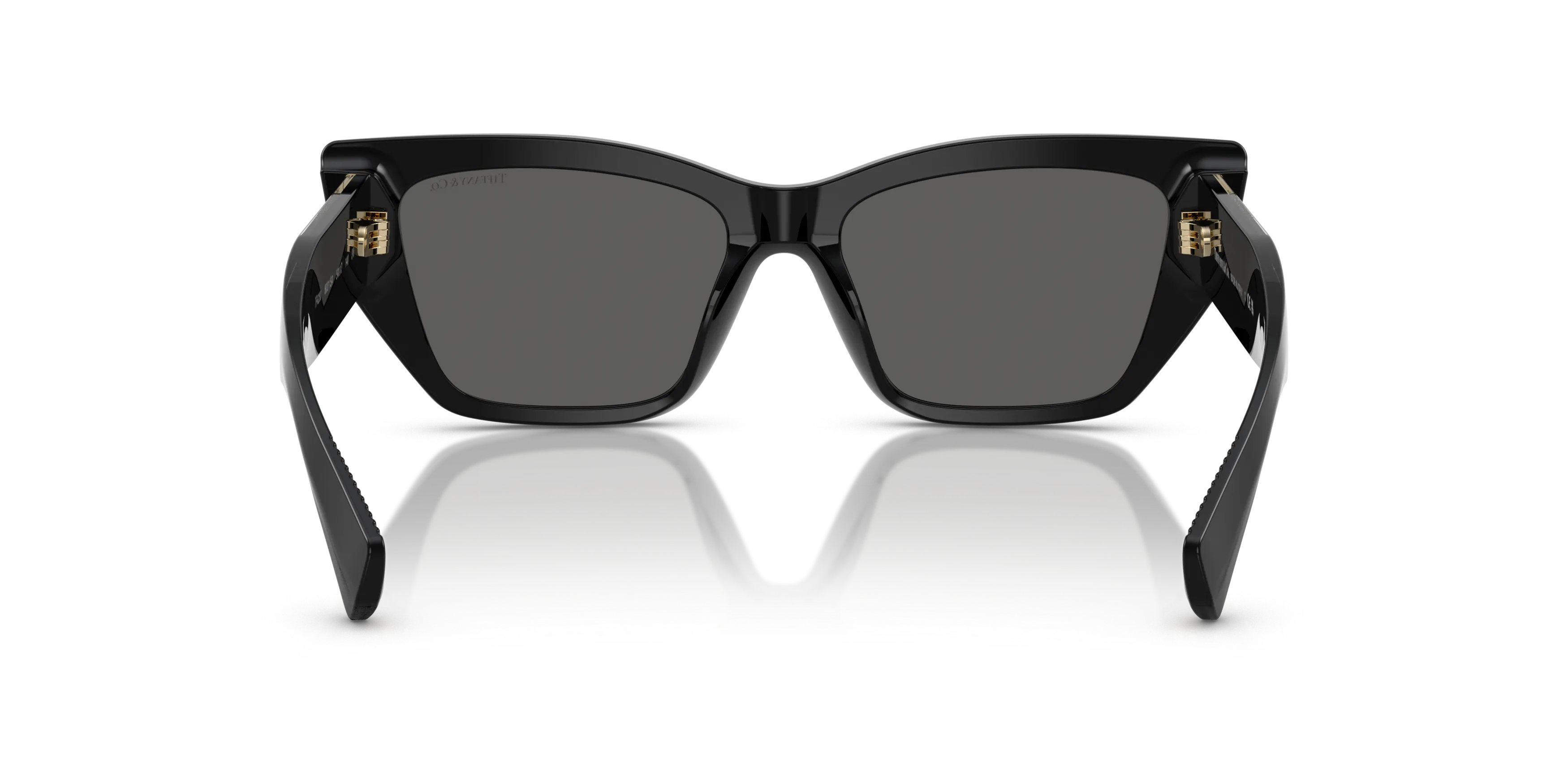 Detail02, Tiffany & Co TF4230 Sunglasses