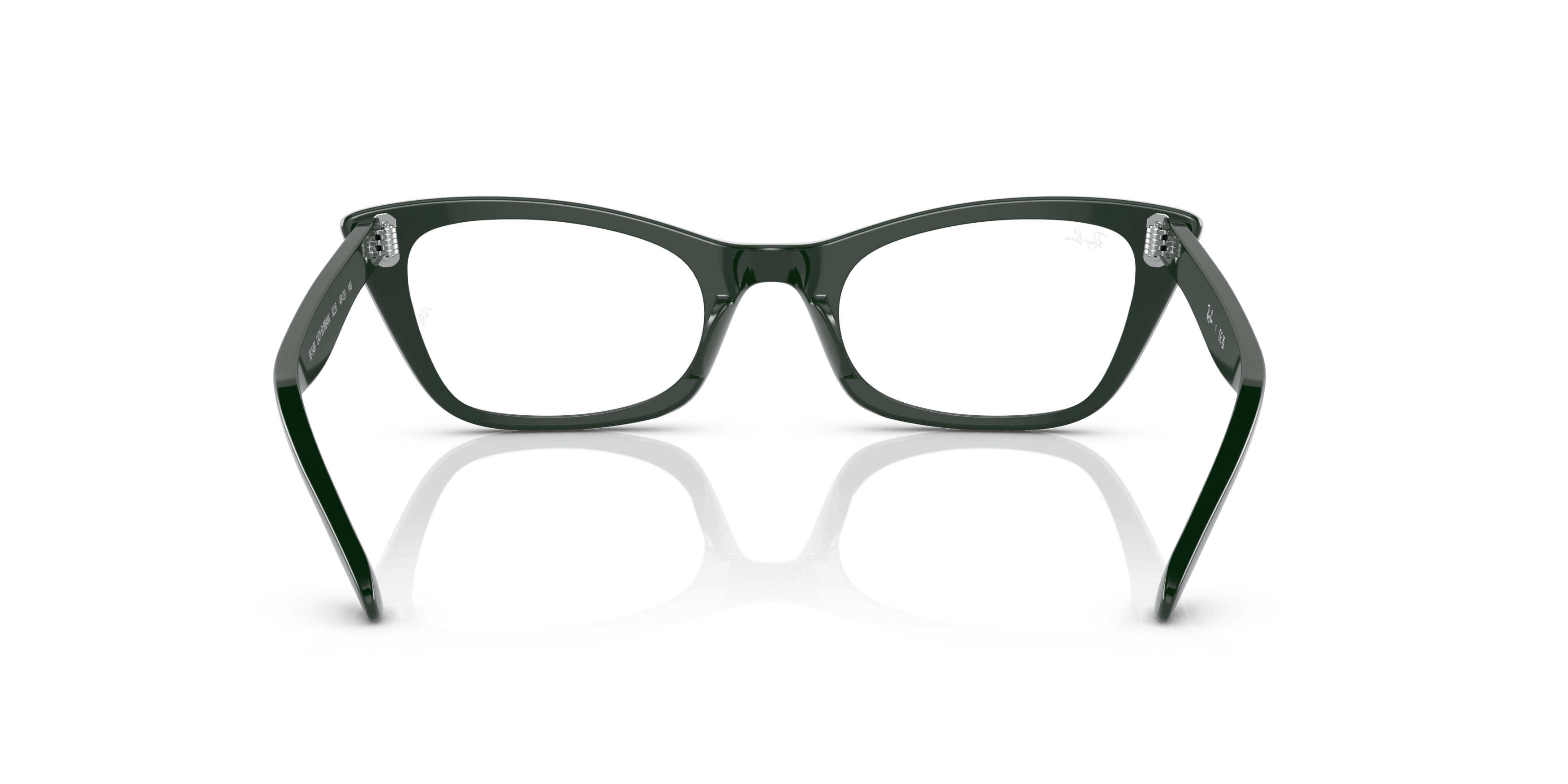 Detail02, Ray-Ban LADY BURBANK RB5499 8226
