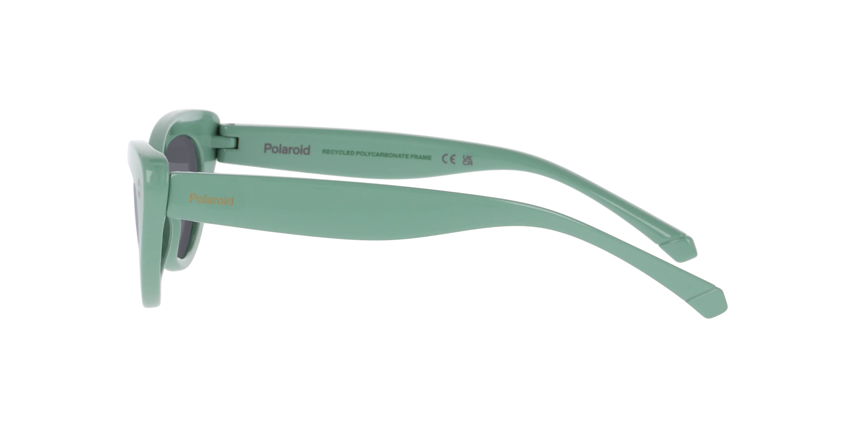 Angle_Left02, Polaroid P4000794 2500M1