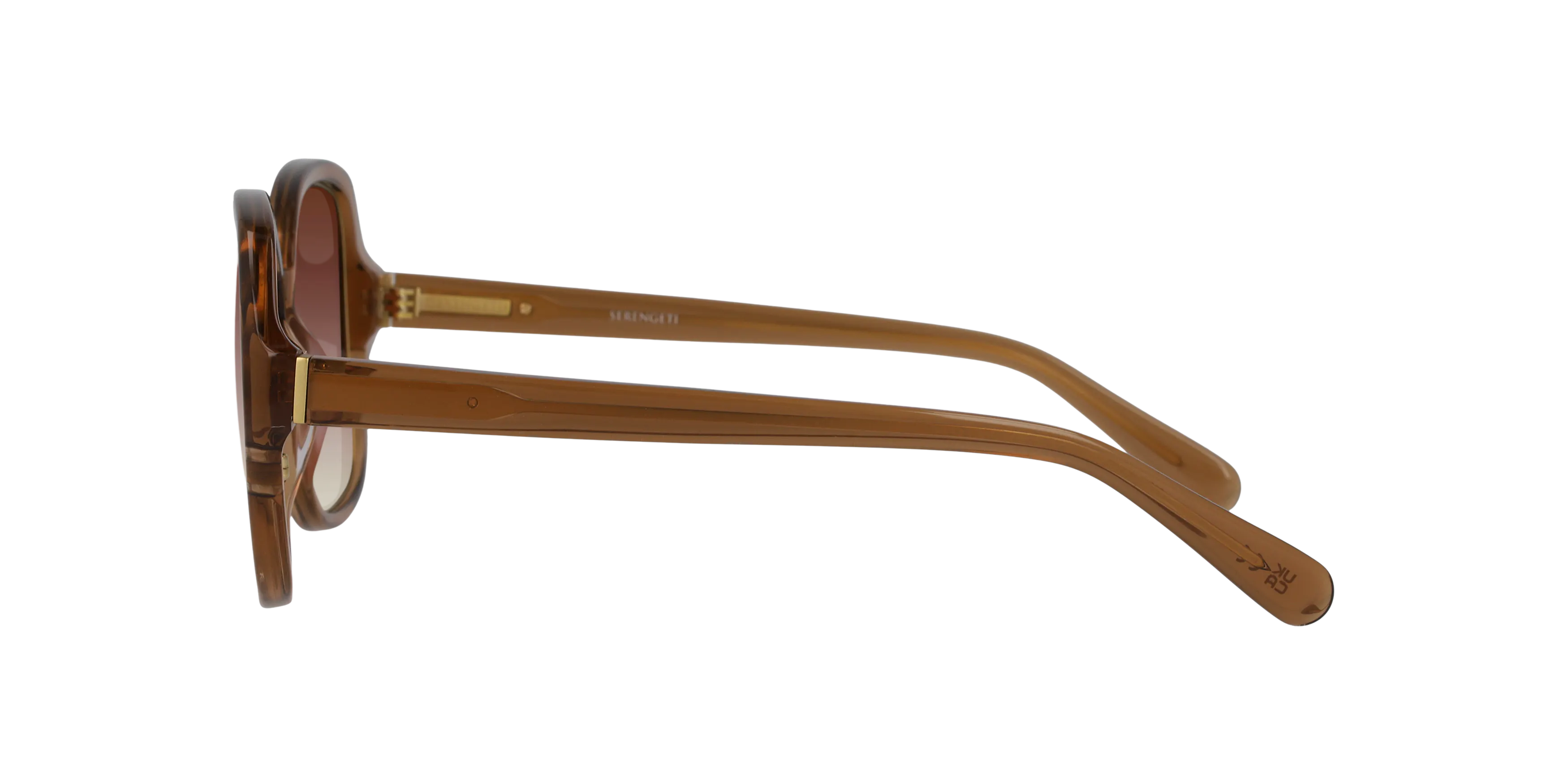 Angle_Left02, Serengeti Hayworth