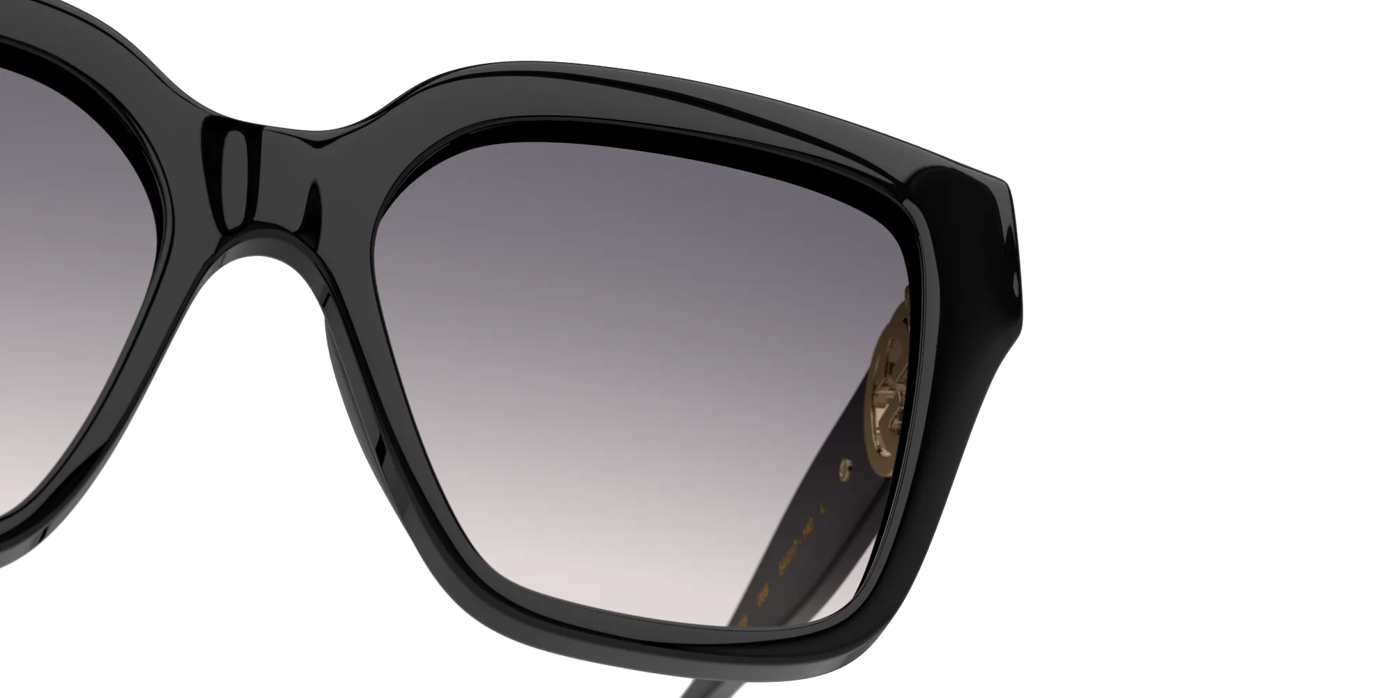 Detail01, Gucci GG 1023S Sunglasses