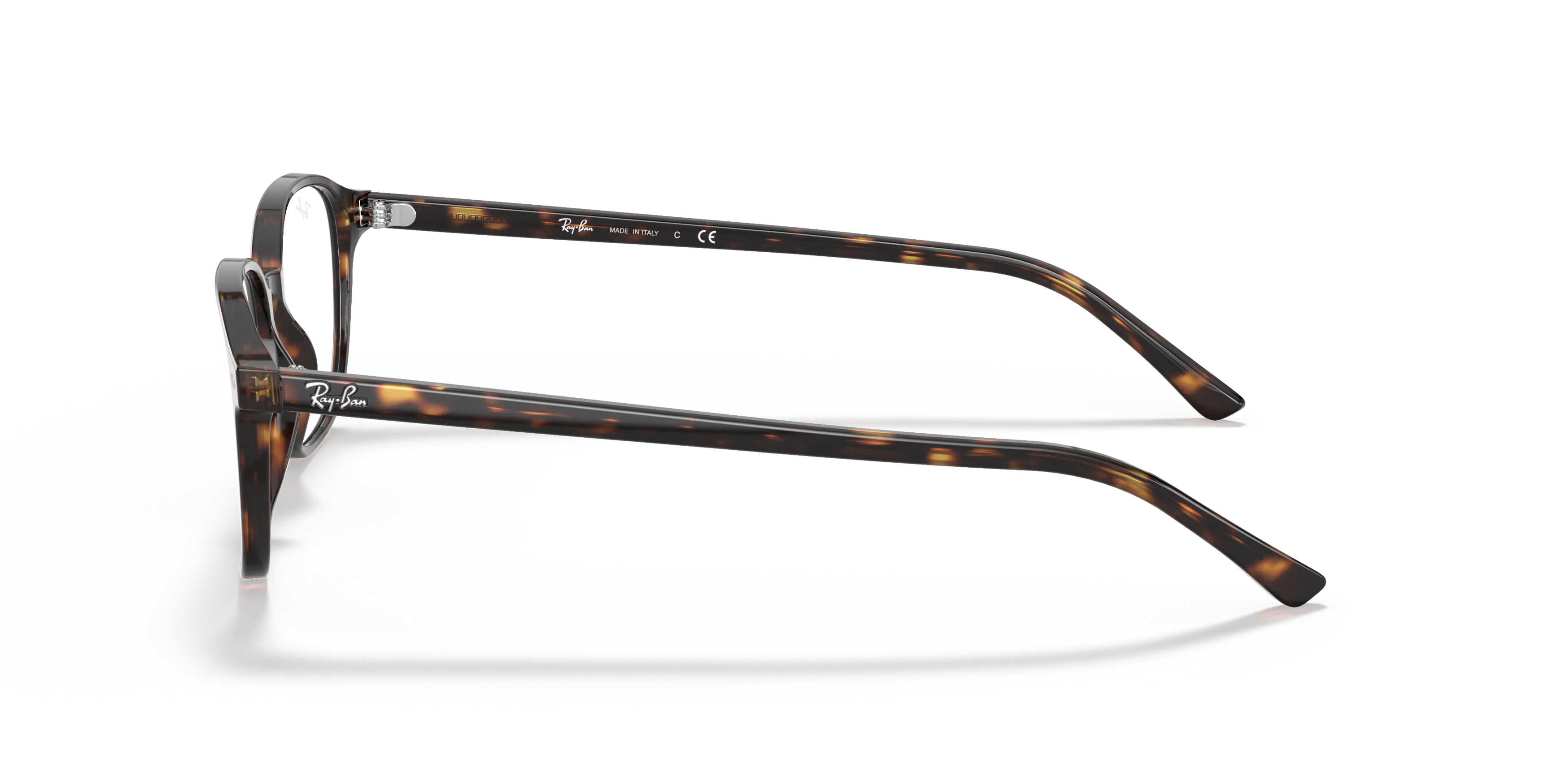 Angle_Left02, Ray-Ban Leonard Optics RB5393 2012