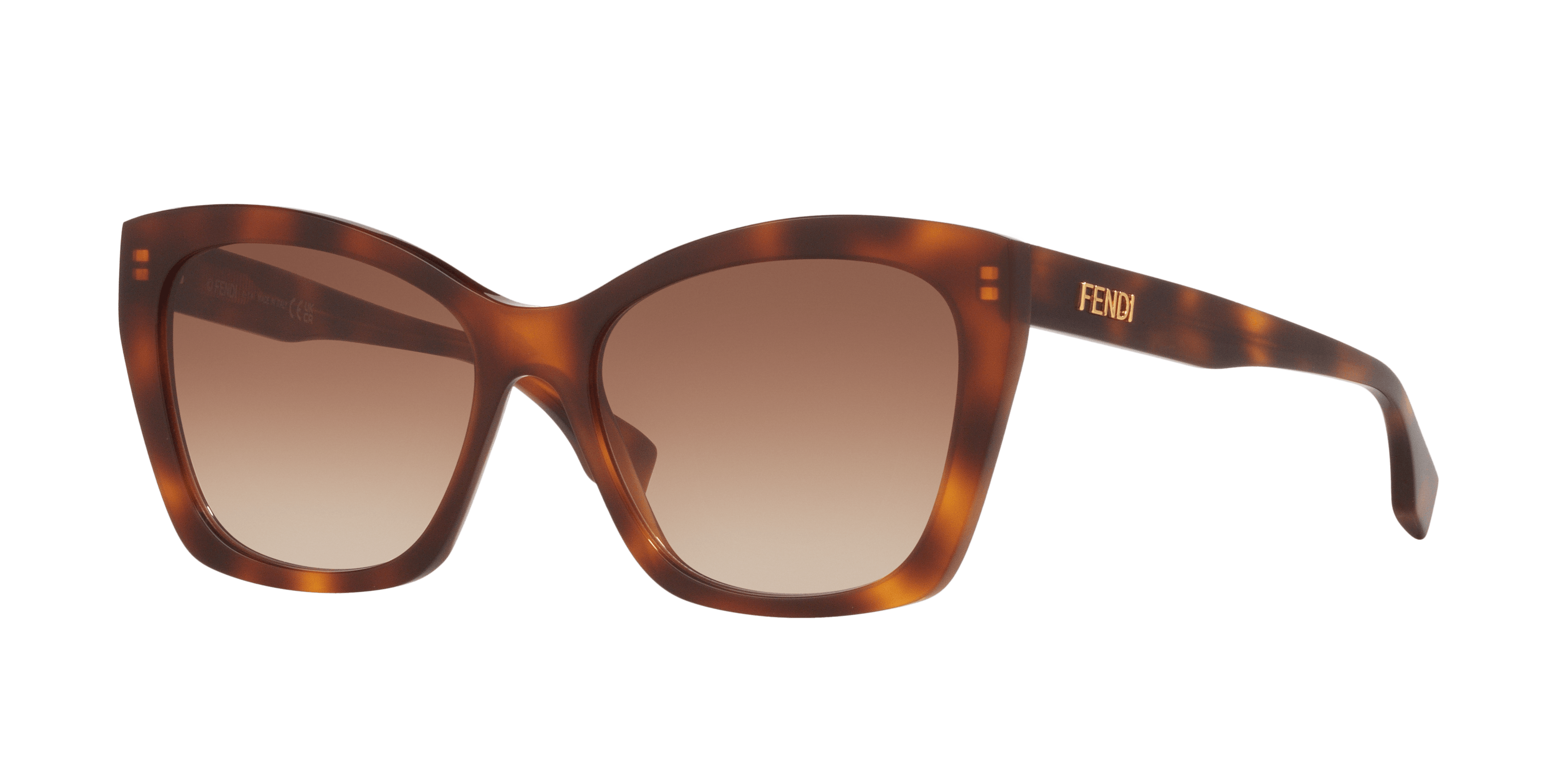 Angle_Left01, Fendi FN000806