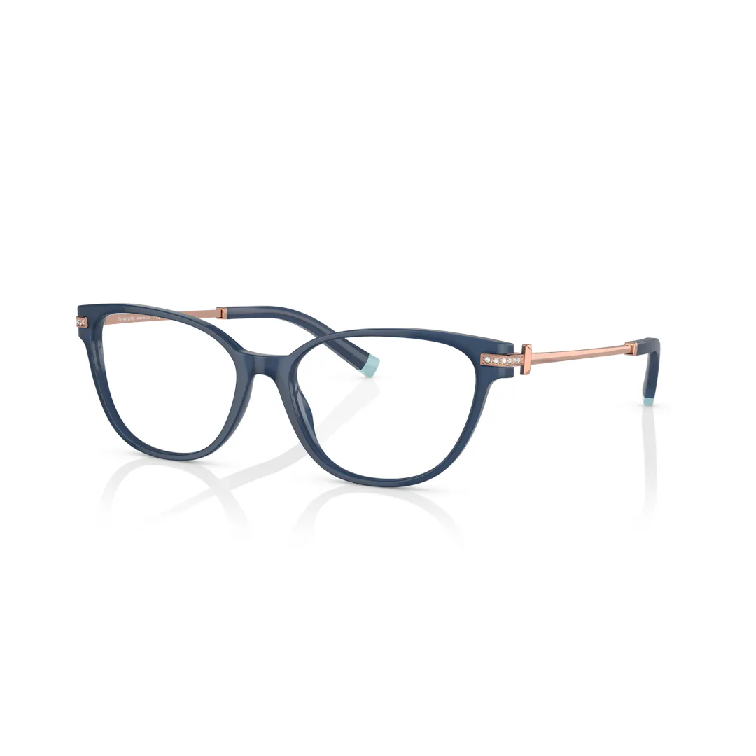 Tiffany & Co. 0TF2223B