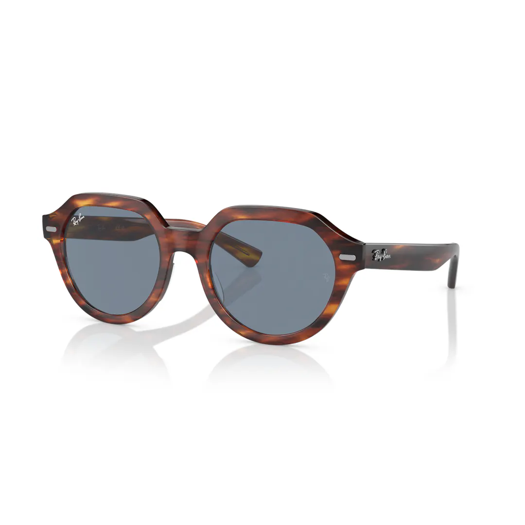 Ray-Ban Gina 0RB4399 Solglasögon -