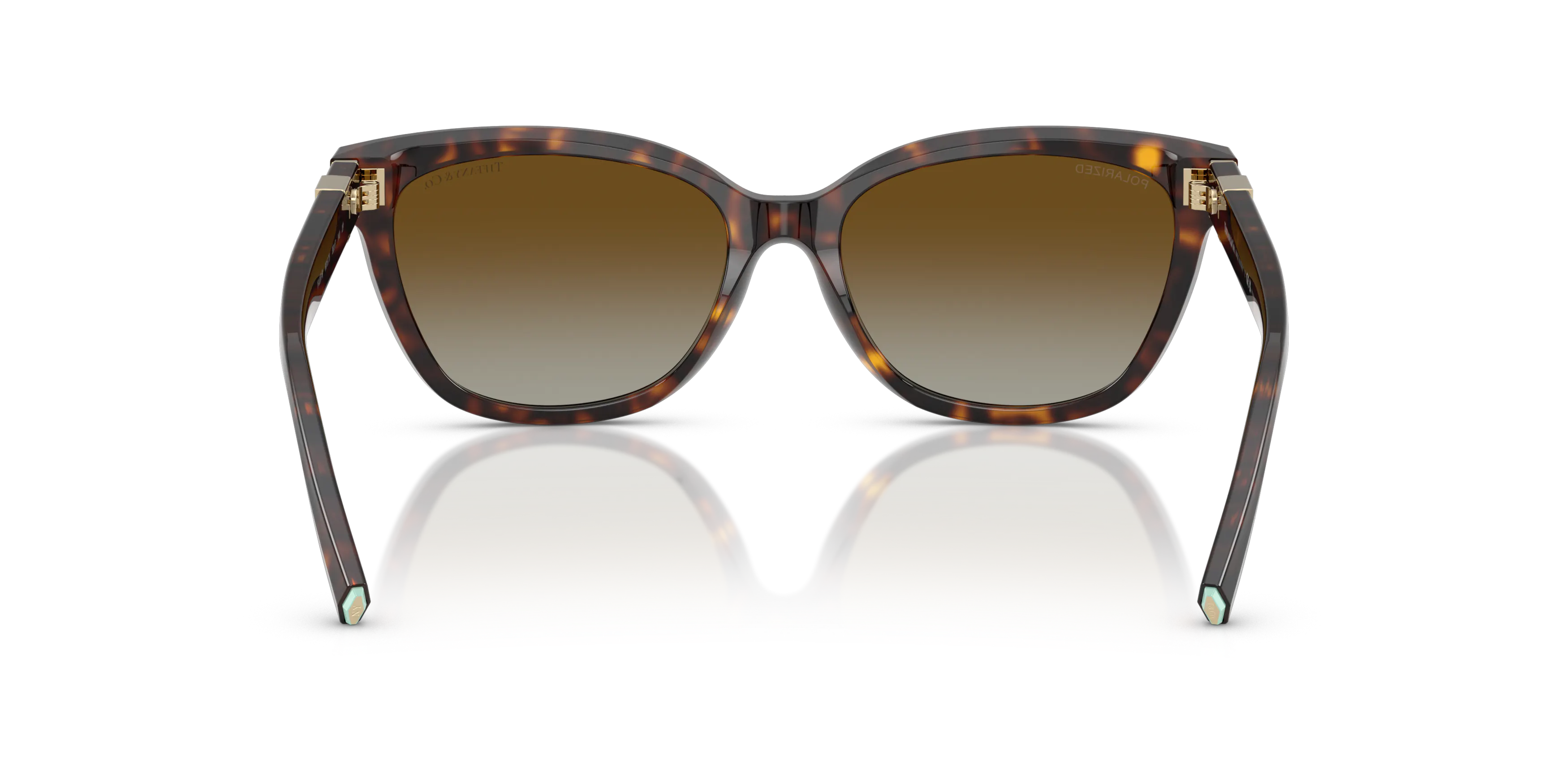 Detail02, Tiffany & Co. TF4237B 1546