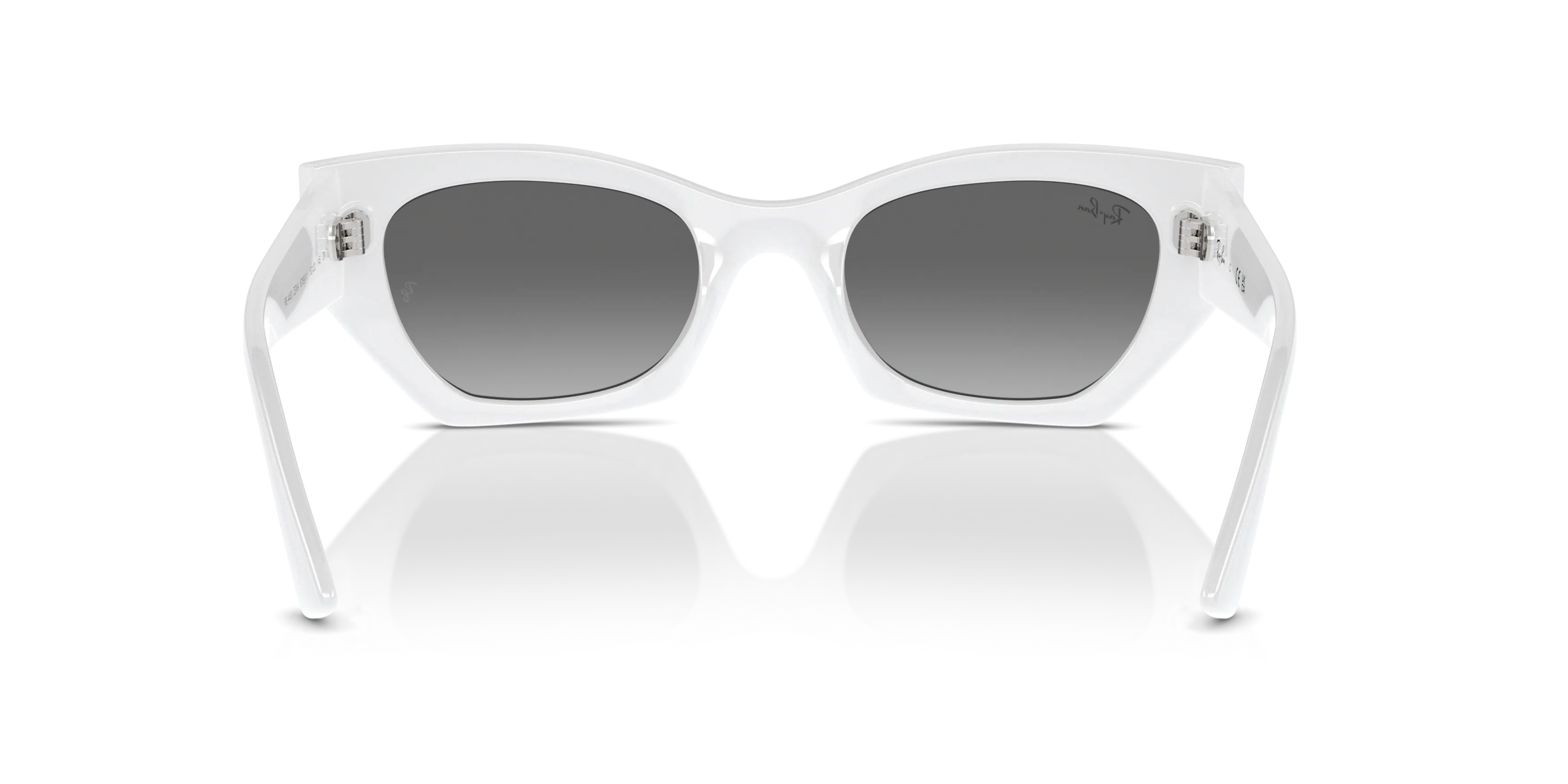 Detail02, Ray-Ban Zena Bio-Based RB 4430 Sunglasses