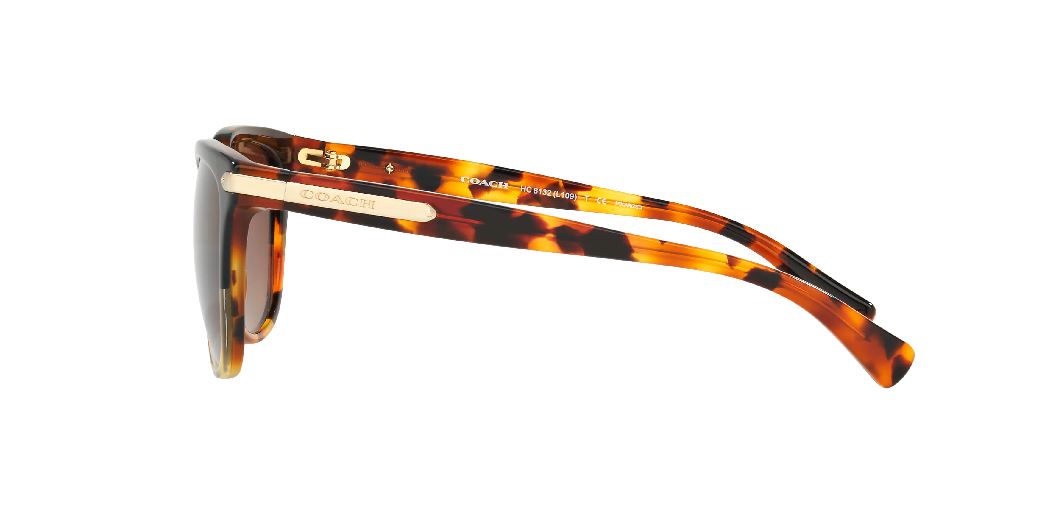 Angle_Left02, Coach HC8132 5438T5