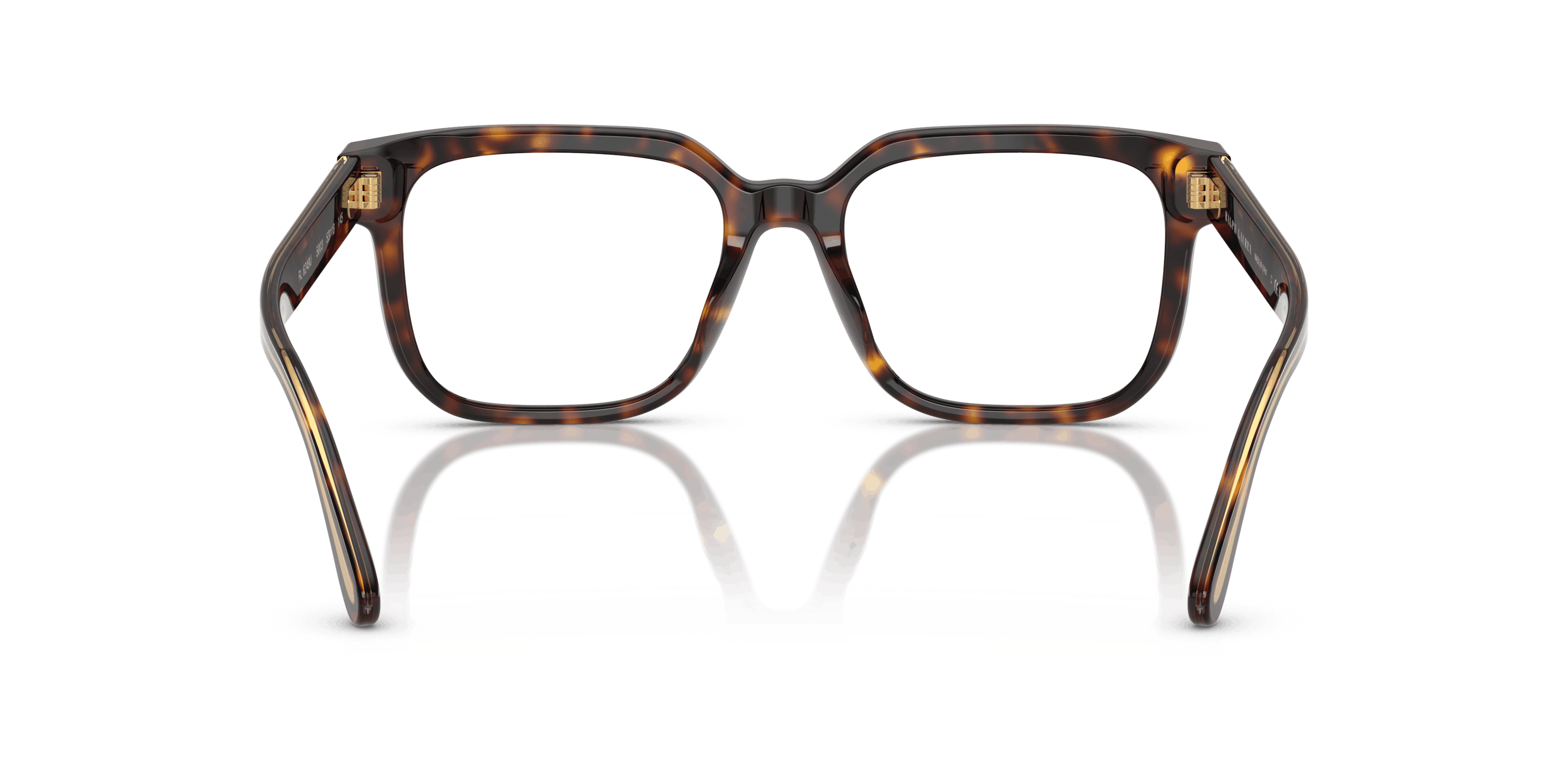 Detail02, Ralph Lauren RL6249U 5003