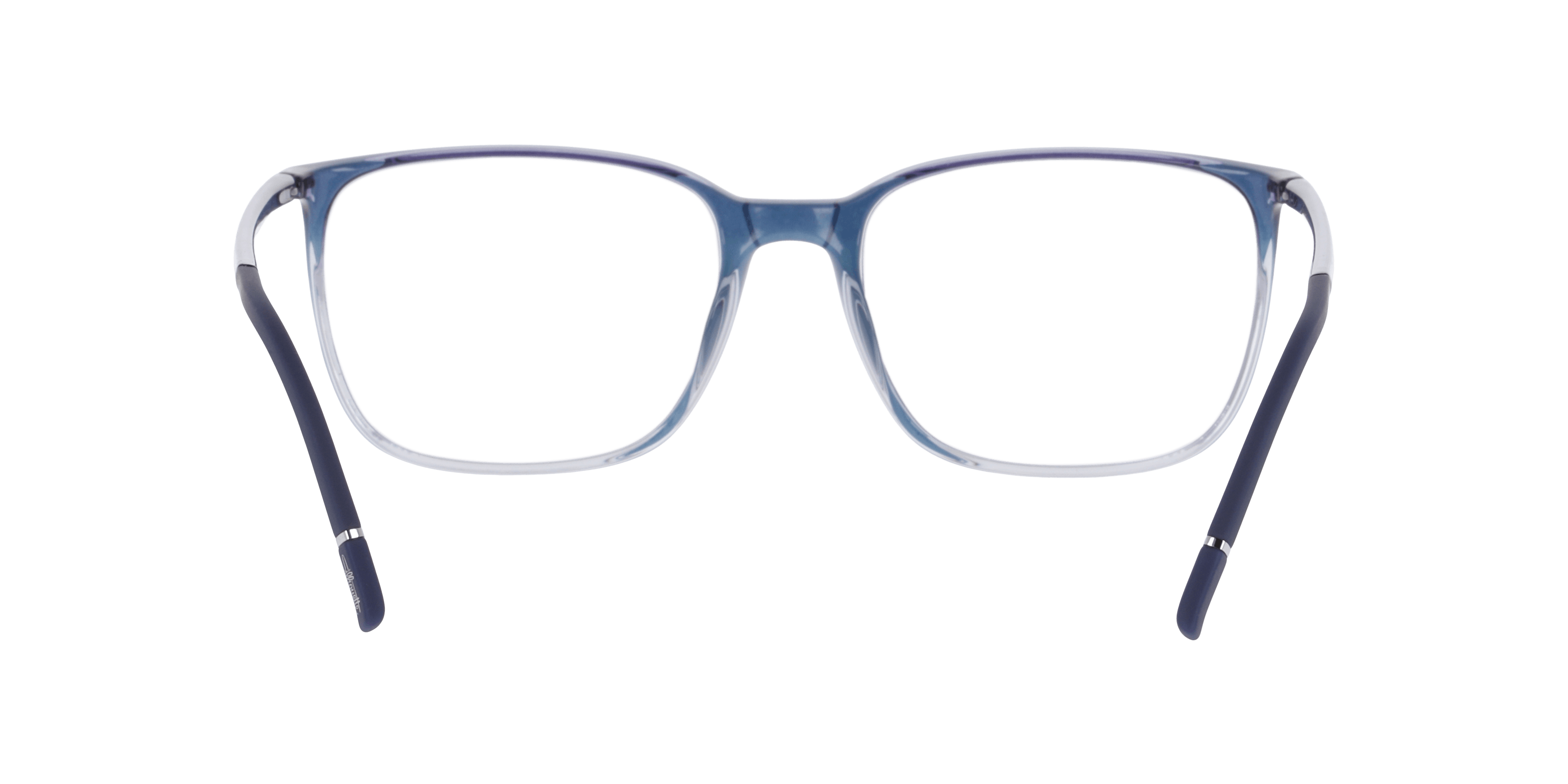 Detail02, Silhouette 2961 4510