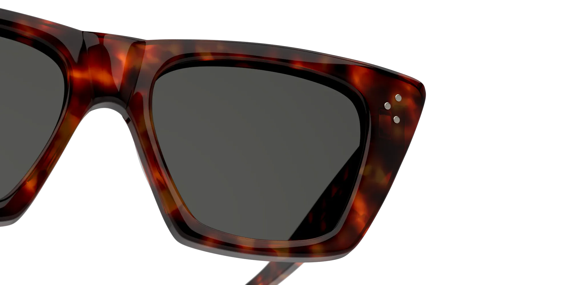 Detail01, Celine CL40187I 52A