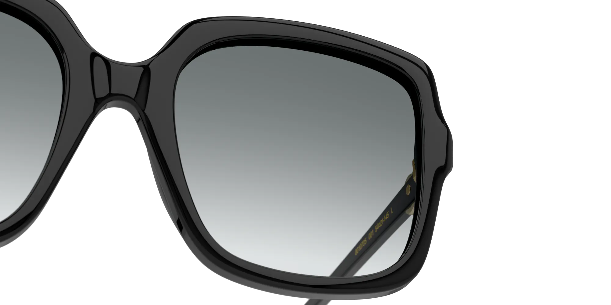 Detail01, Gucci GG 1070S Sunglasses