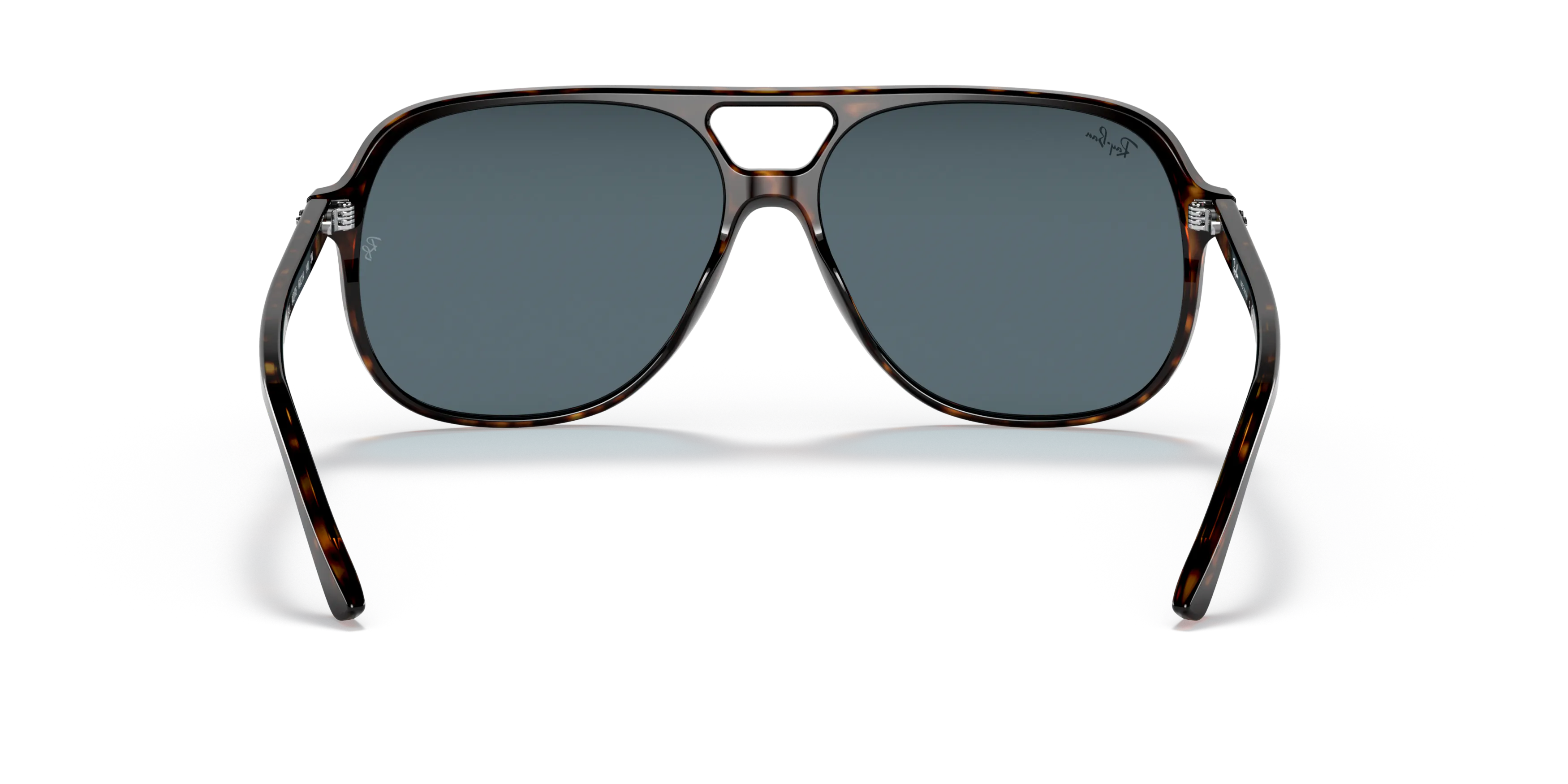 Detail02, Ray-Ban Bill RB 2198 Sunglasses