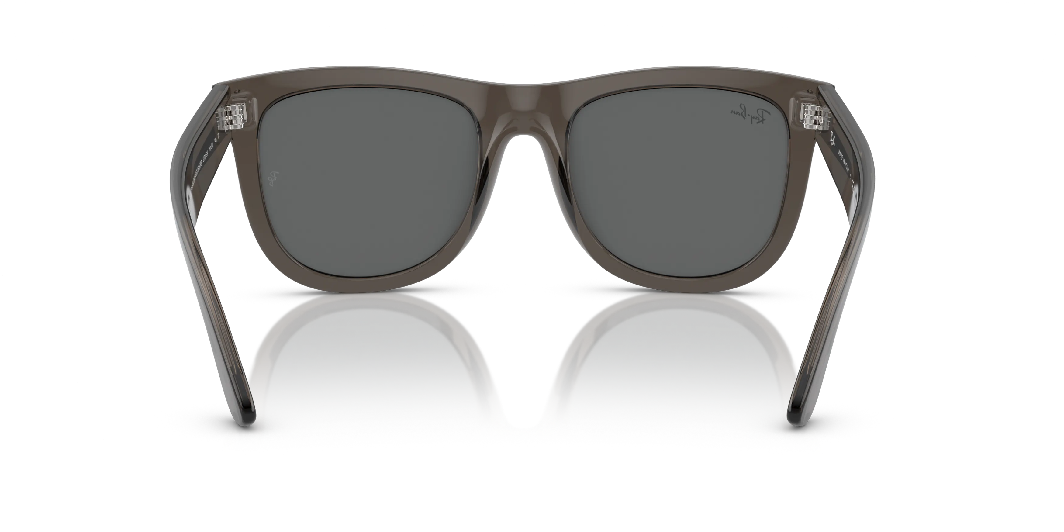 Detail02, Ray-Ban Wayfarer Reverse RBR 0502S Sunglasses