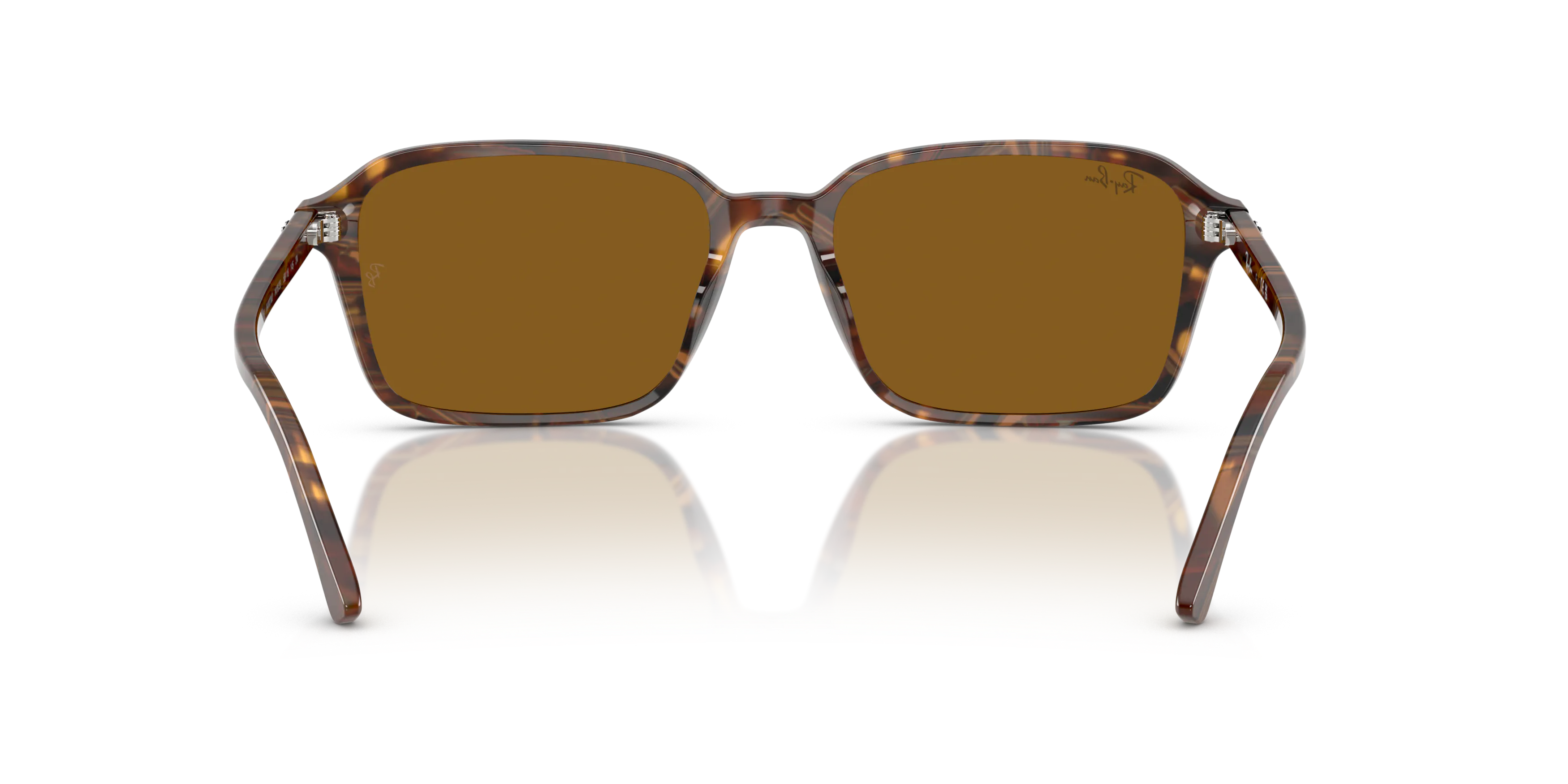 Detail02, Ray-Ban Raimond RB2231 Sunglasses
