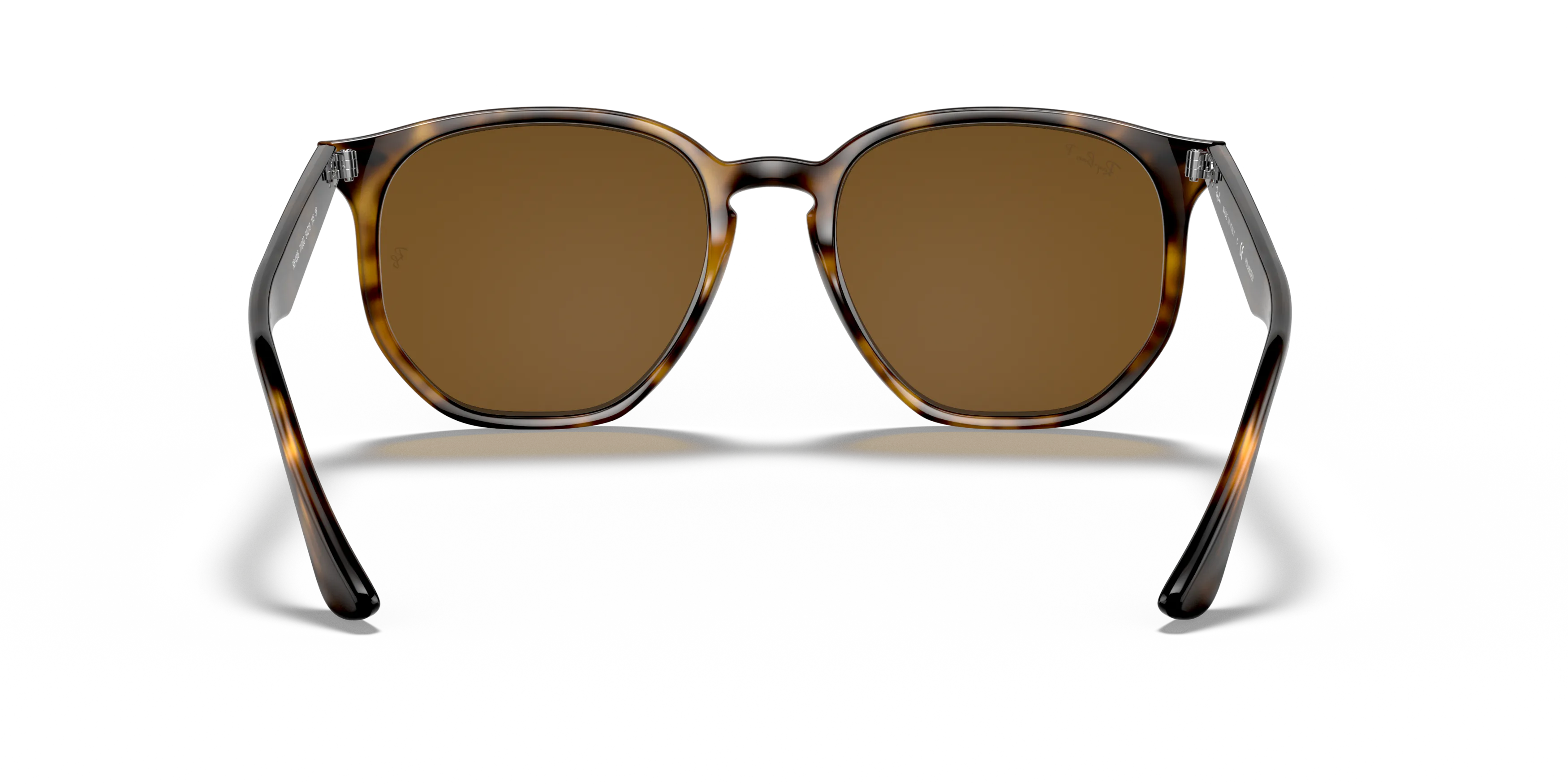 Detail02, Ray-Ban RB 4306 Sunglasses