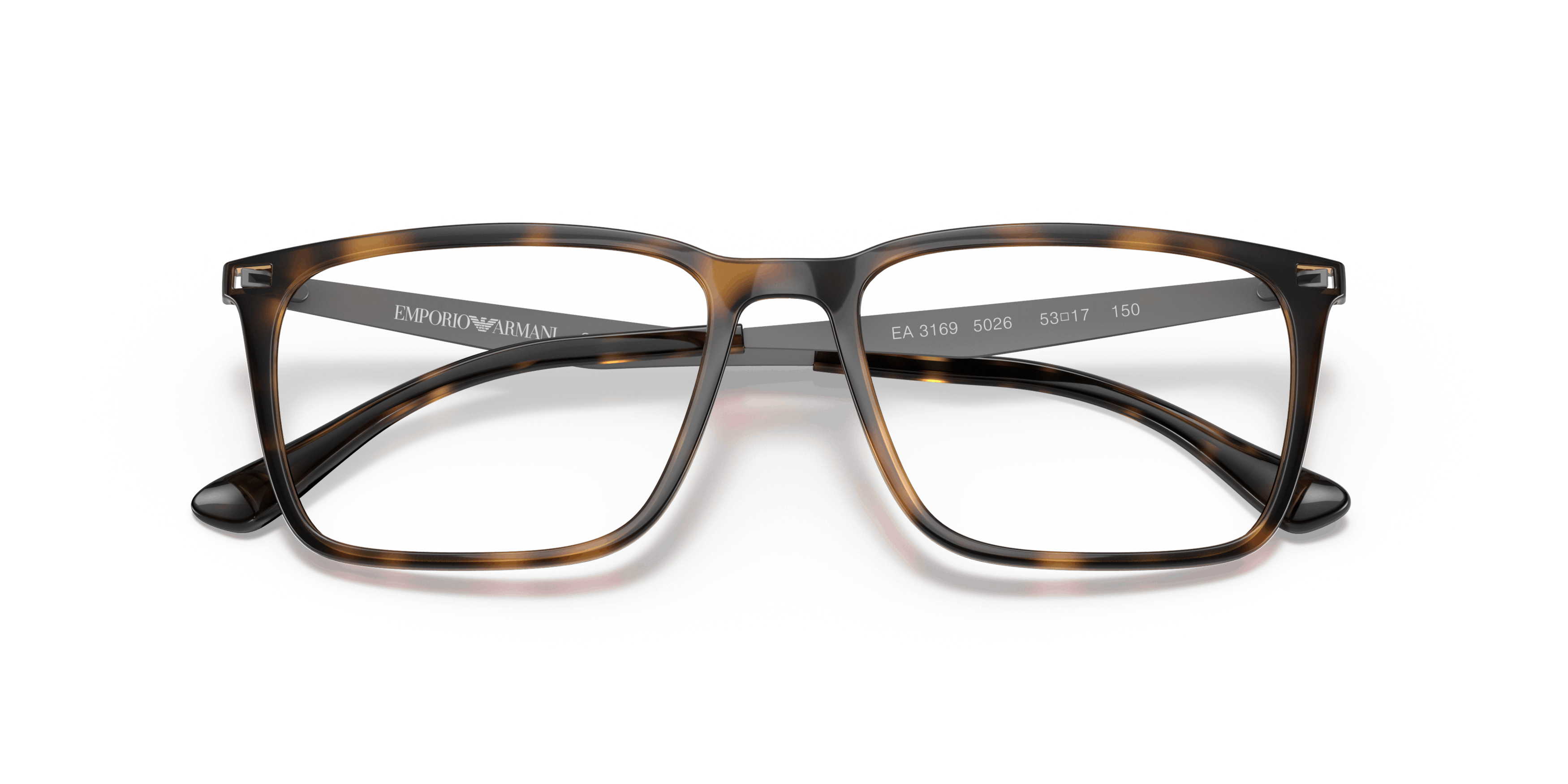 Folded, Emporio Armani EA3169 5026