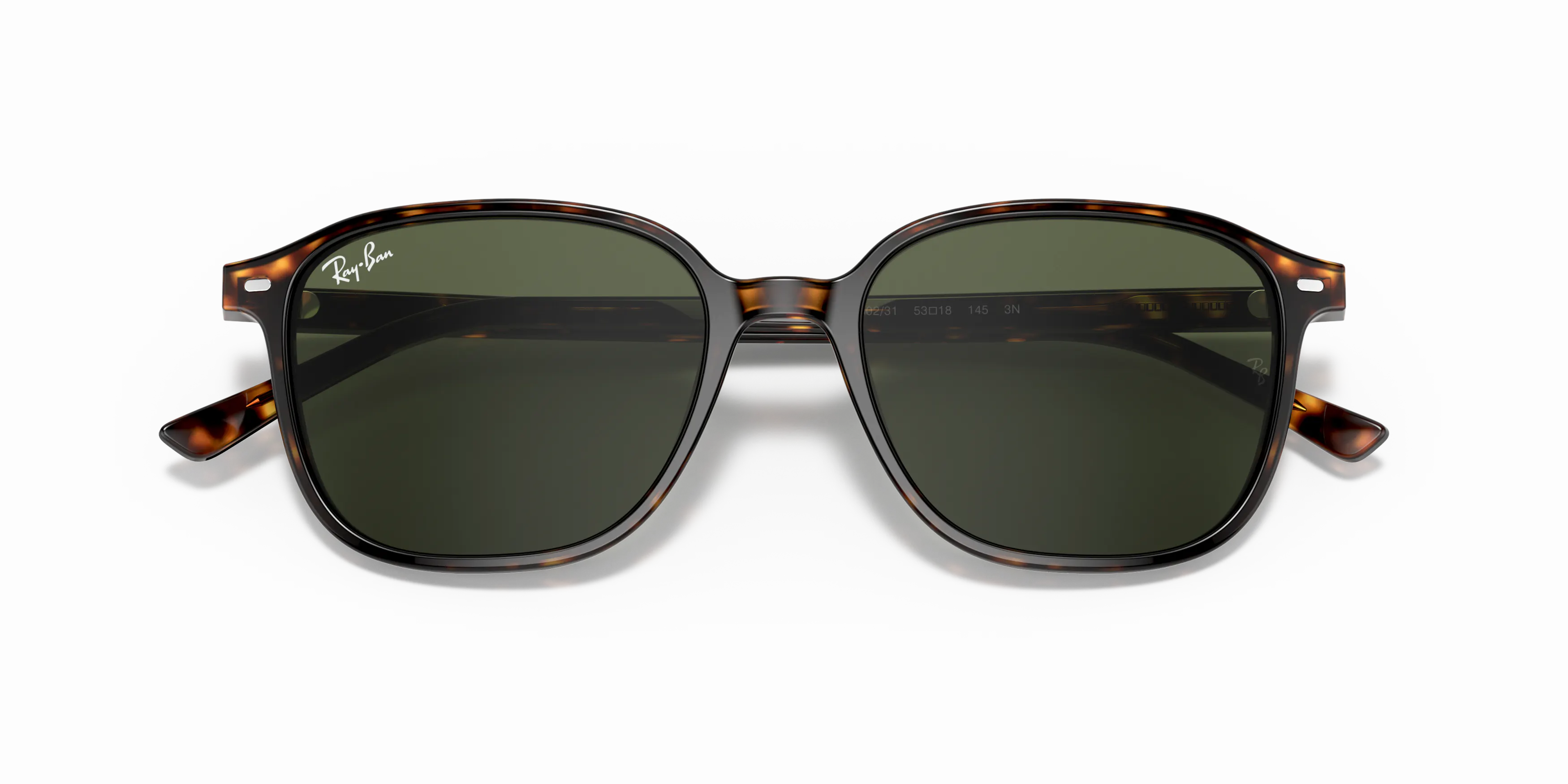 Ray-Ban Leonard RB 2193 (902/31) Sunglasses | Vision Express