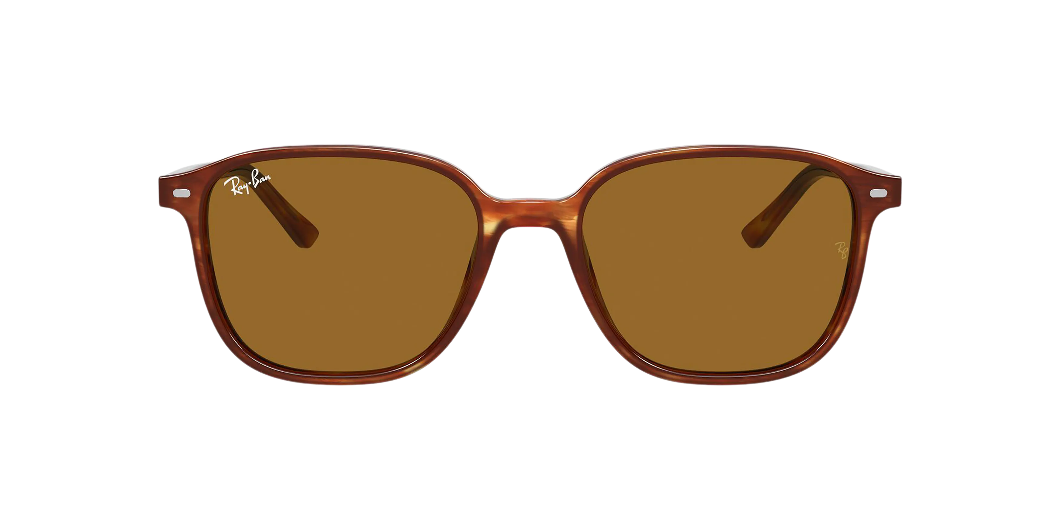 Ray-Ban Leonard RB2193 954/33