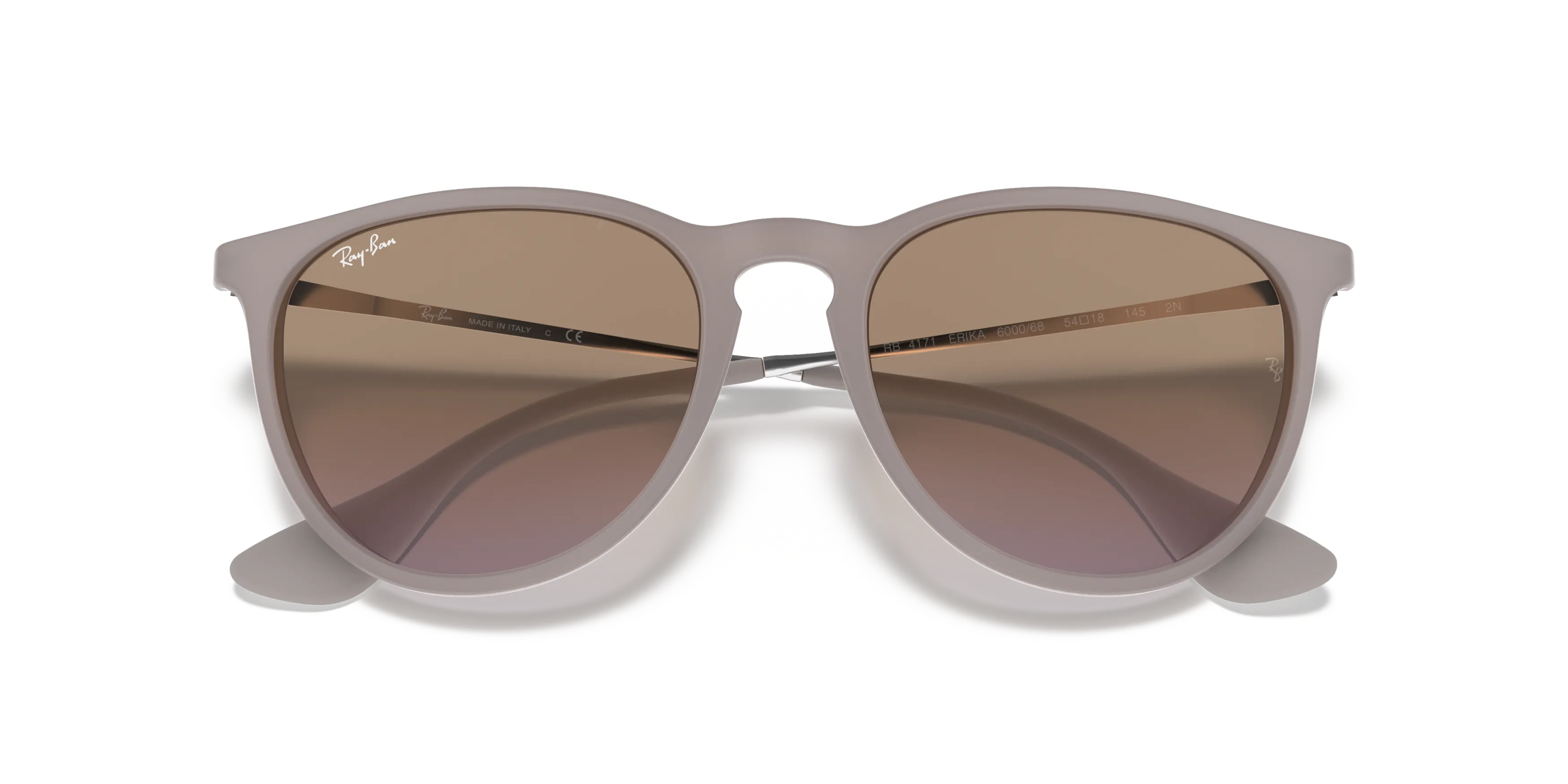 小物 Ray-Ban RB4101/ERIKA RB4171 Ray-Ban Erika Classic RB4171 601/5Q polarized zonnebril | Pearle