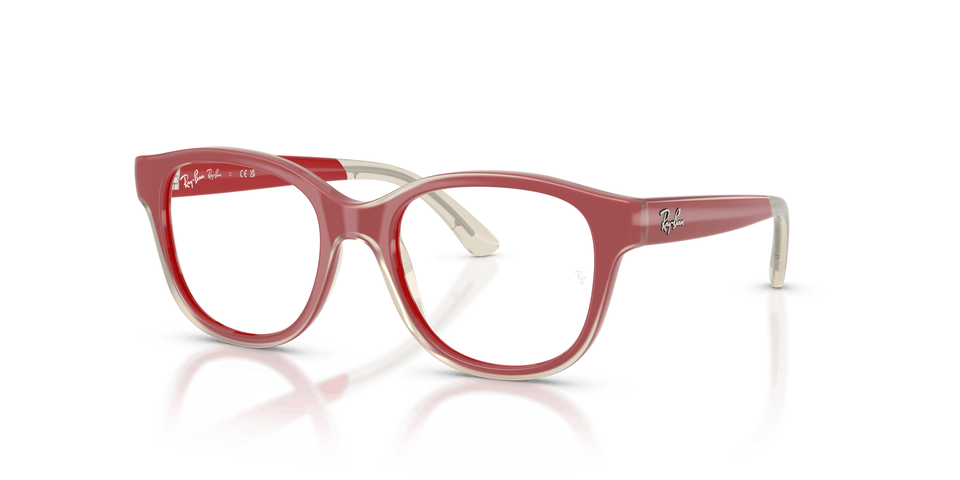 Angle_Left01, Ray-Ban RB1950 7204