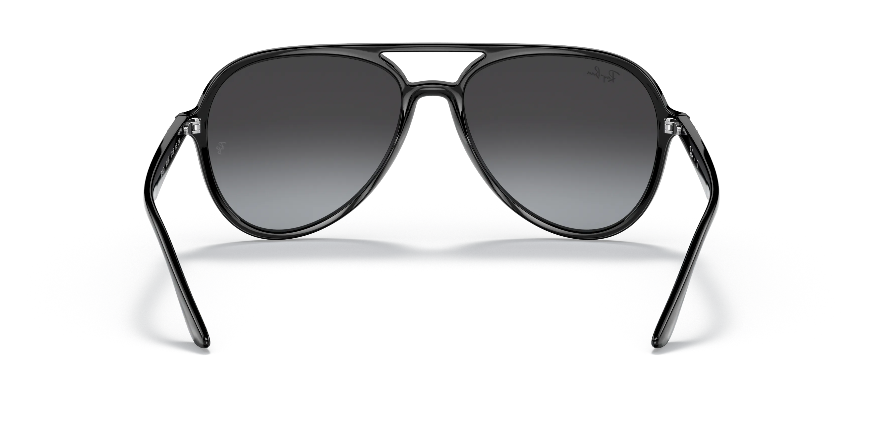 Detail02, Ray-Ban RB 4376 Sunglasses