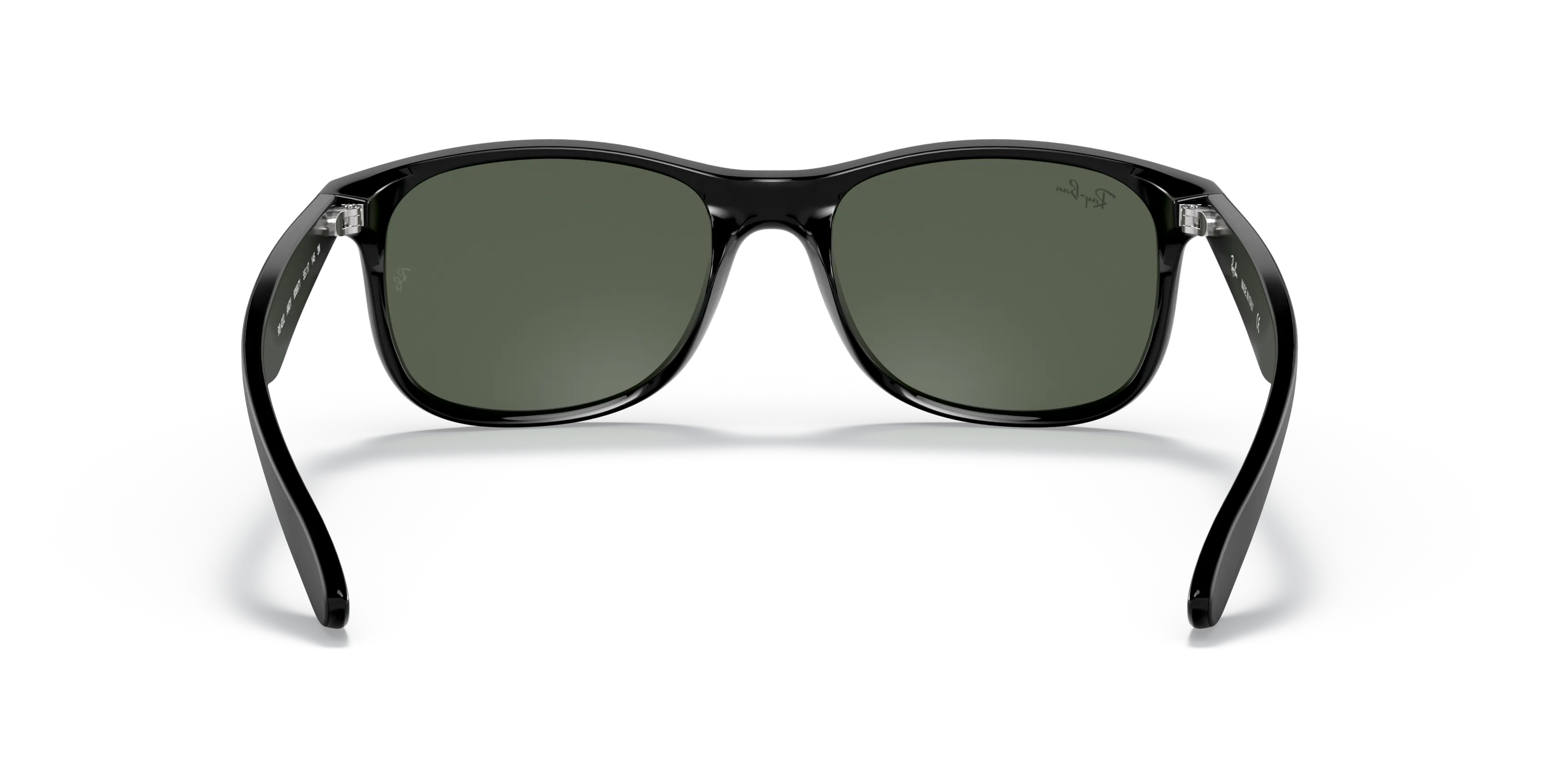 Detail02, Ray-Ban Andy RB 4202 Sunglasses