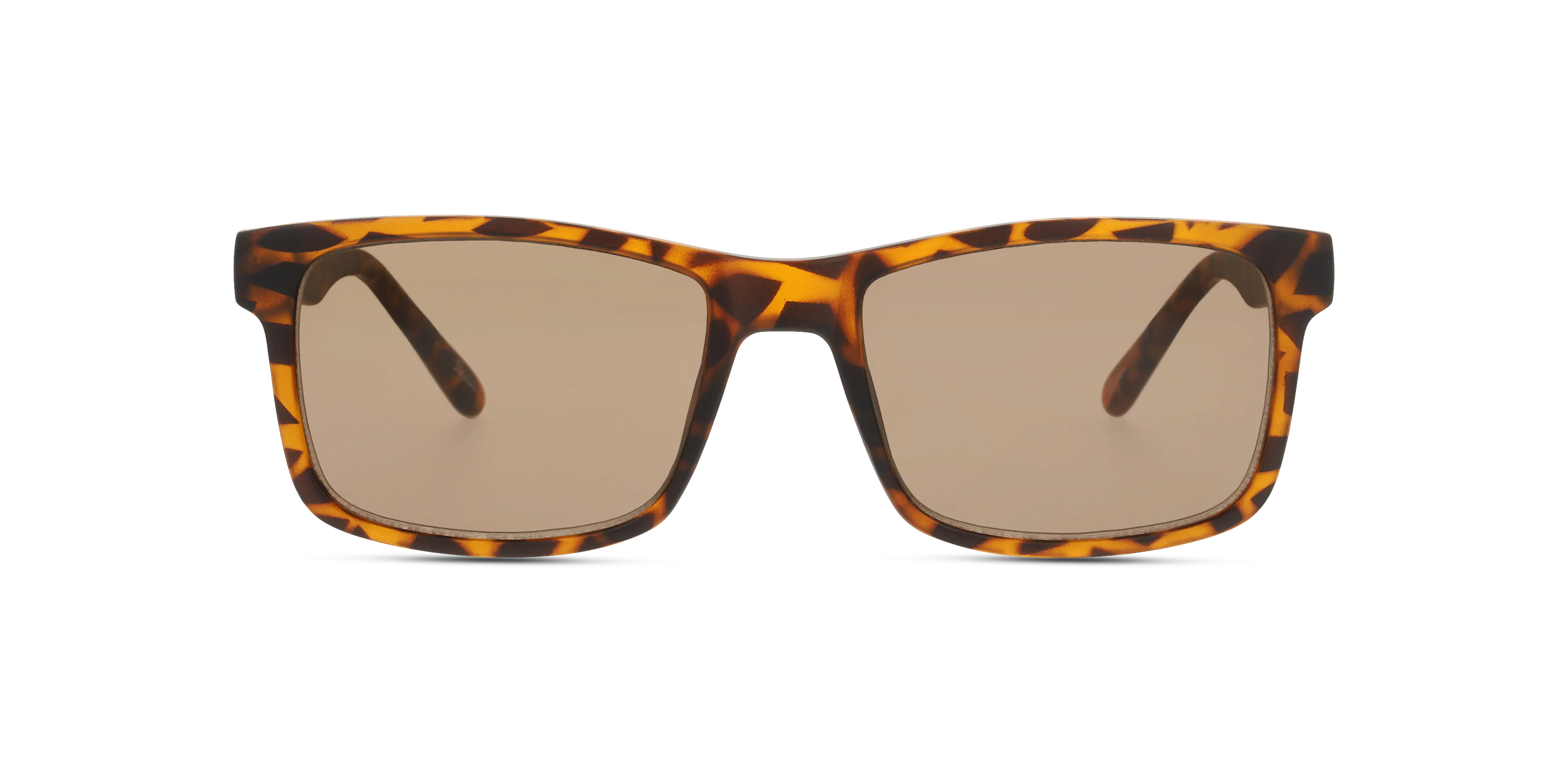 Front, Seen SNSM0011 HHN0