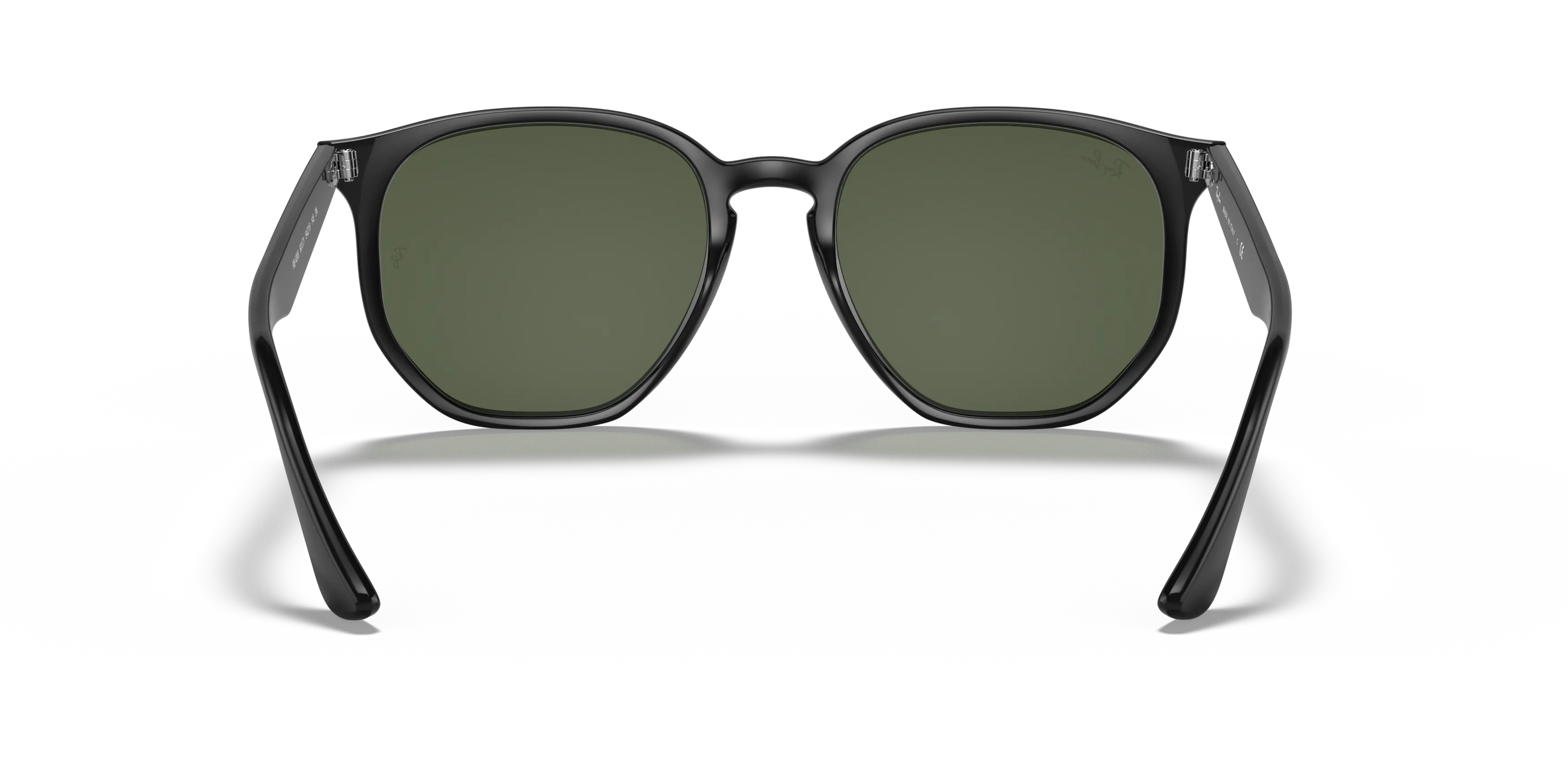 Detail02, Ray-Ban RB 4306 Sunglasses