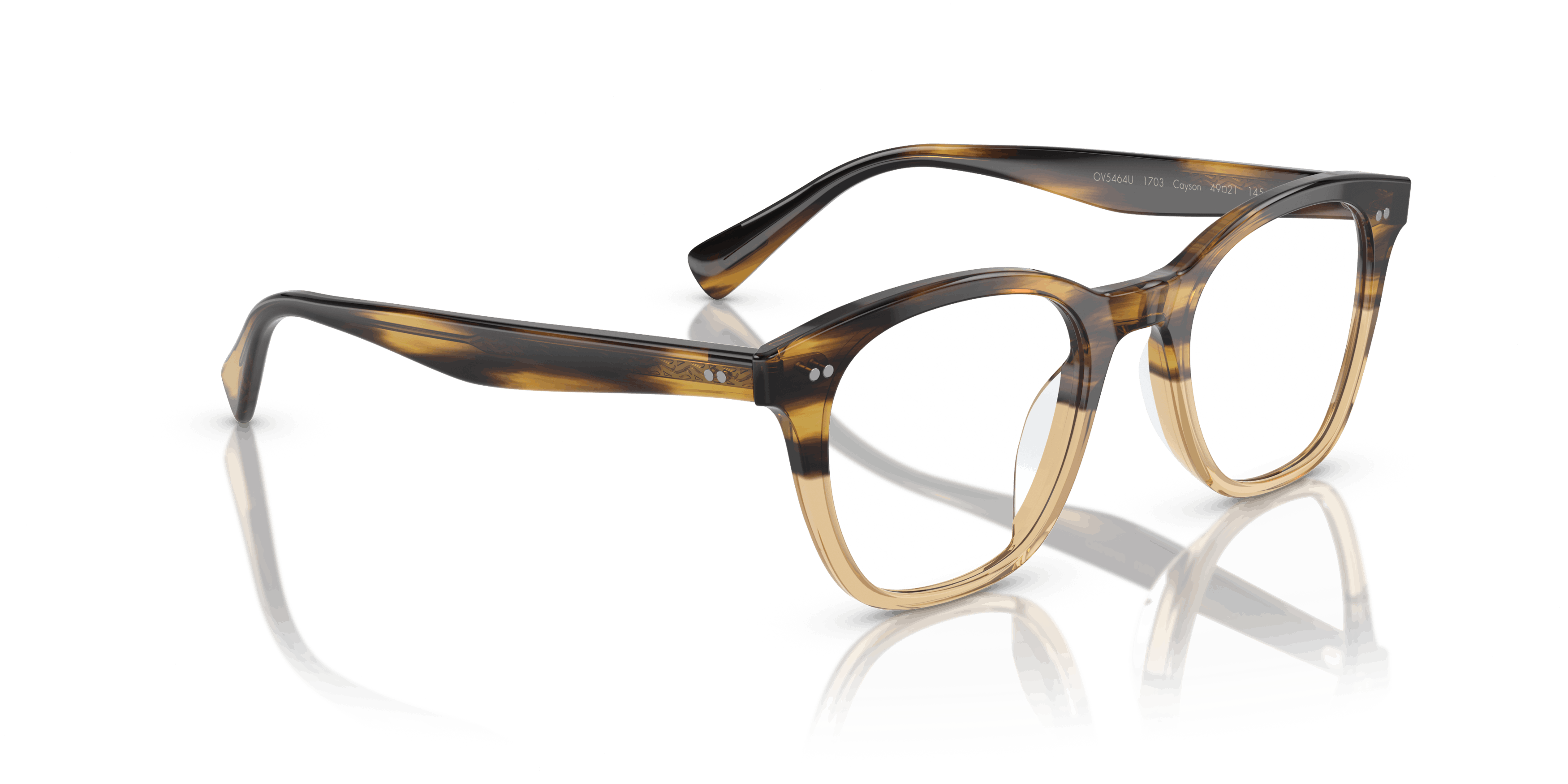 Detail05, Oliver Peoples CAYSON OV5464U 1703