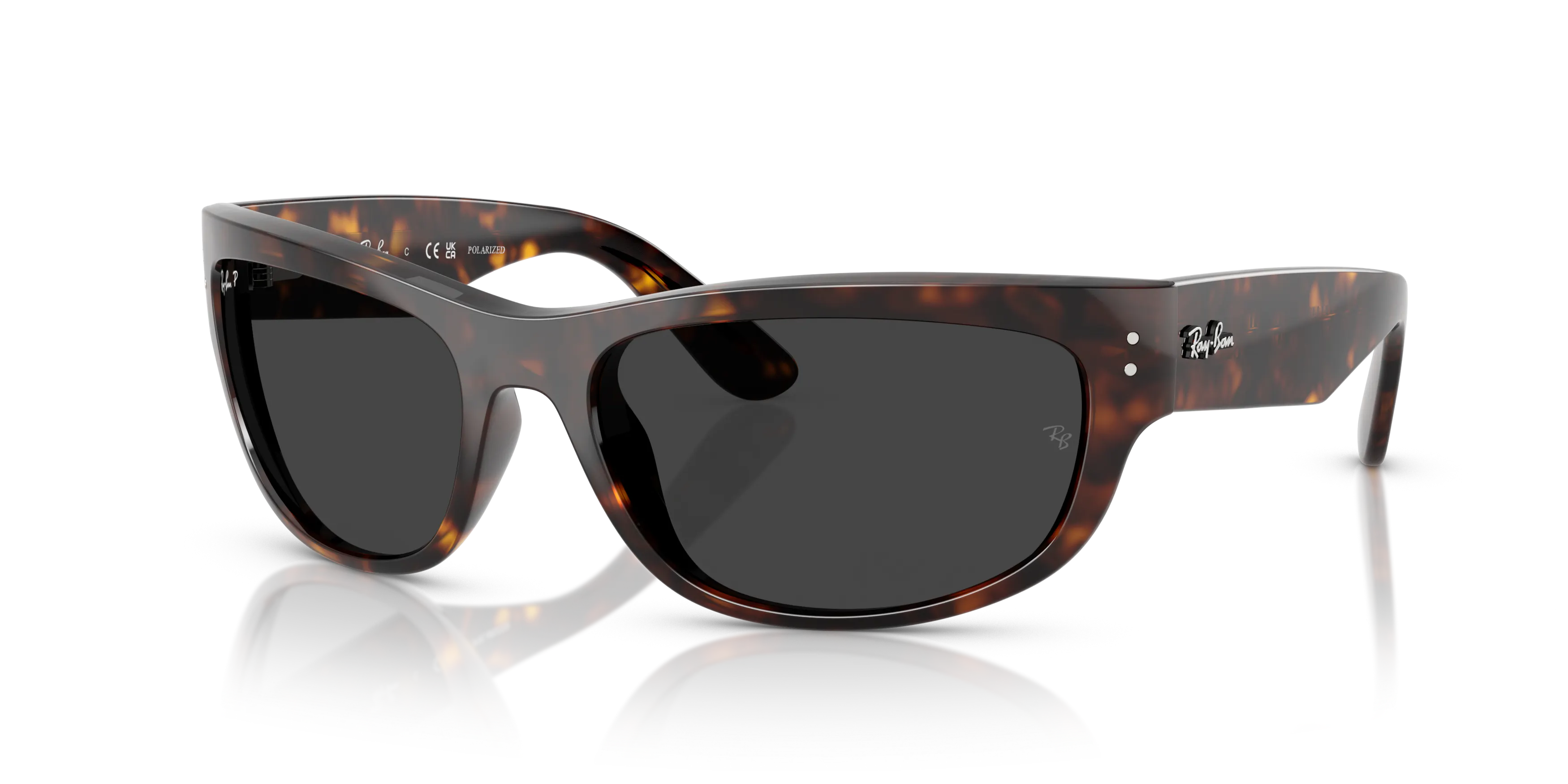 Angle_Left01, Ray-Ban MEGA BALORAMA RB2289 902/48