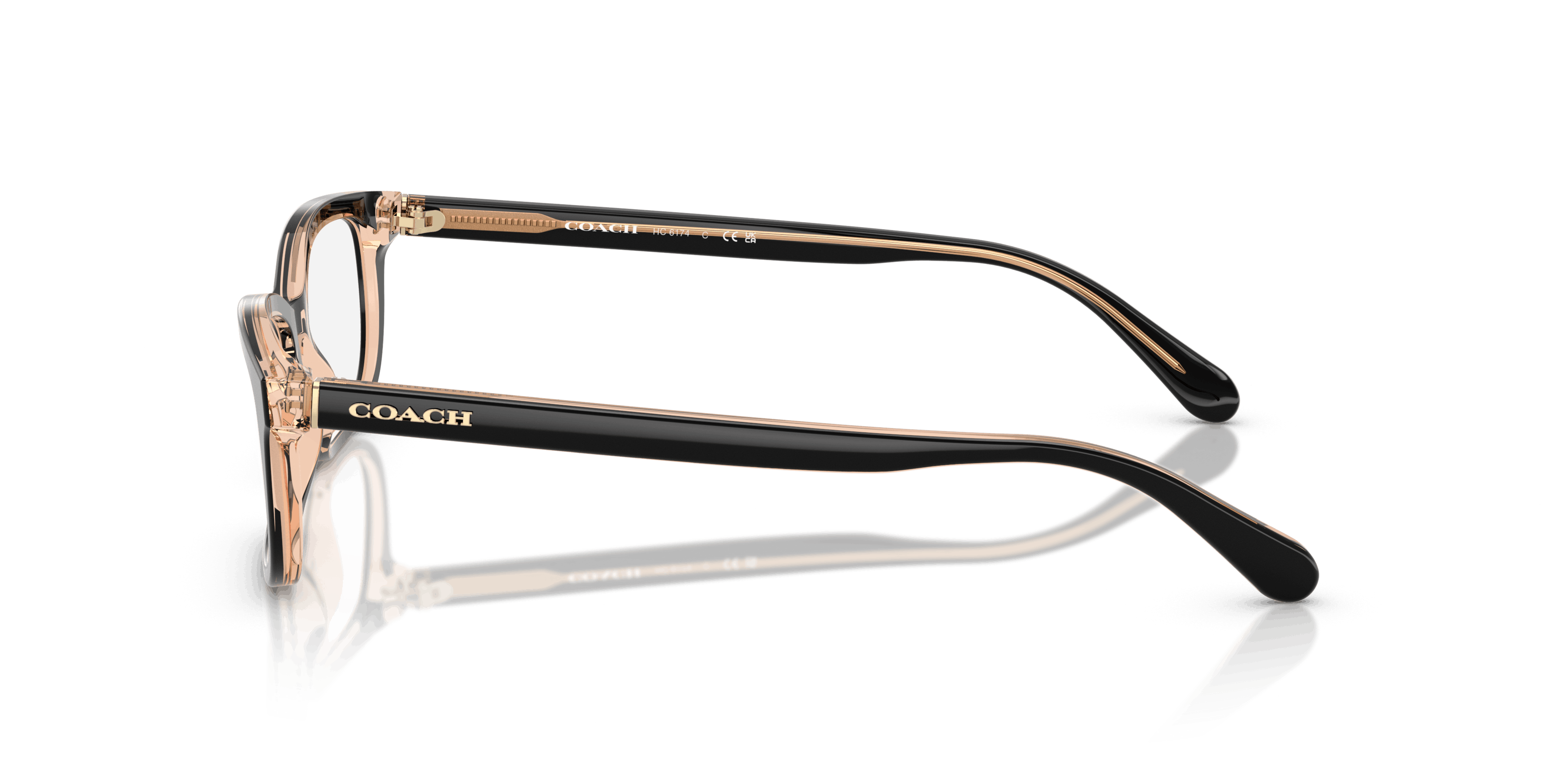 Angle_Left02, Coach HC 6174 Glasses