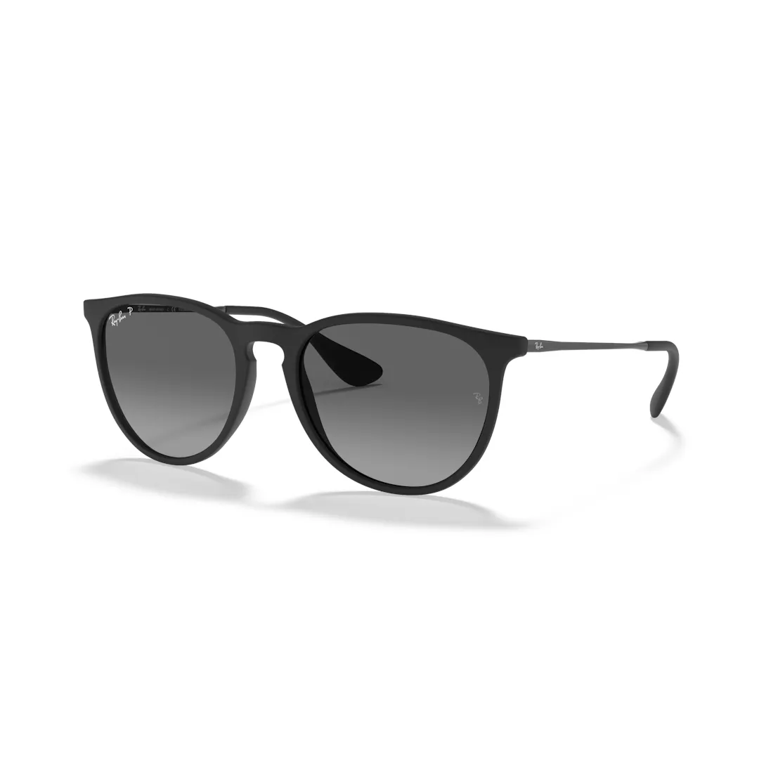 Ray-Ban Erika 0RB4171 Solbriller - Runde Sort Polariserede Linser