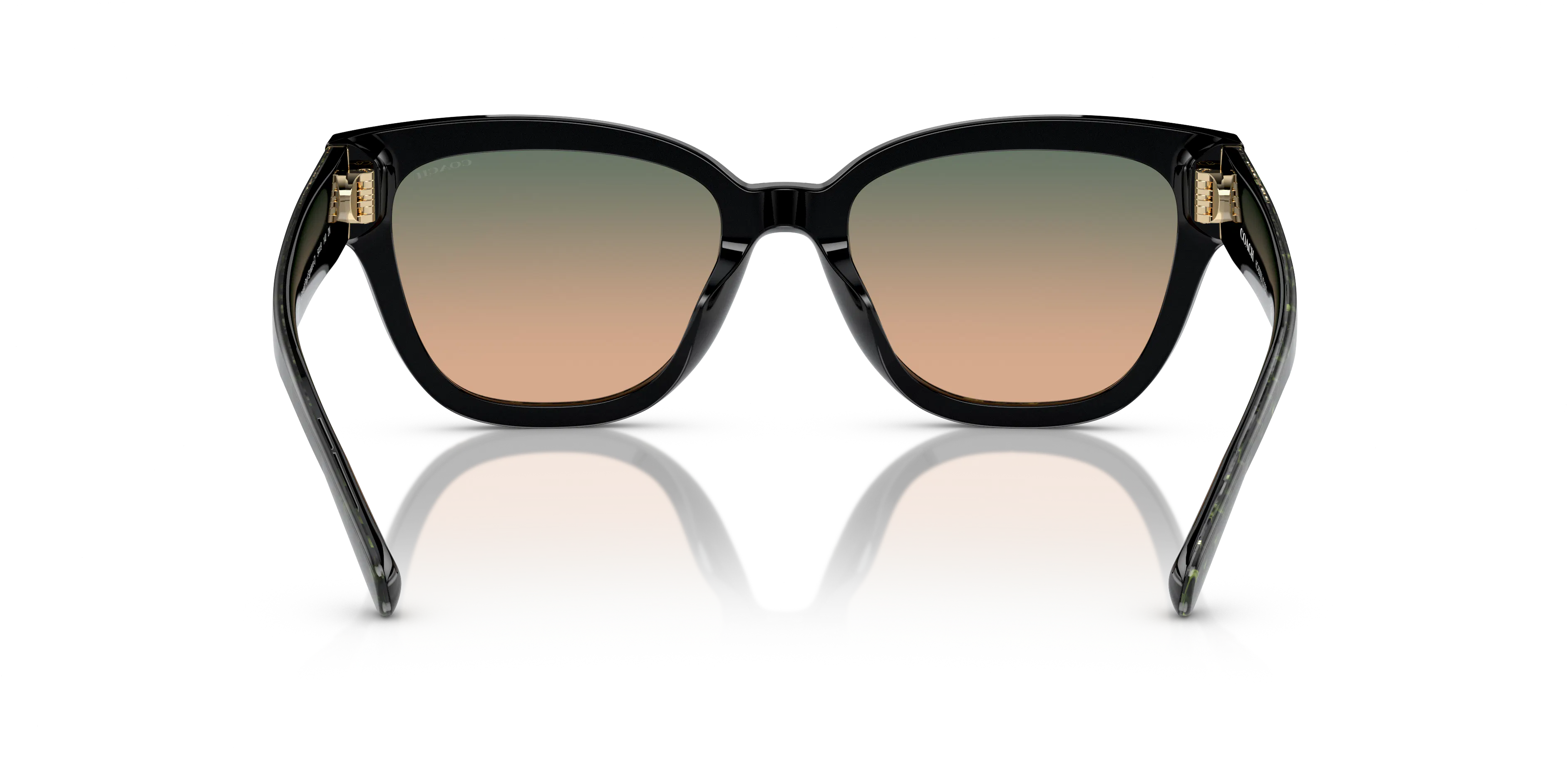 Detail02, Coach HC 8379U Sunglasses