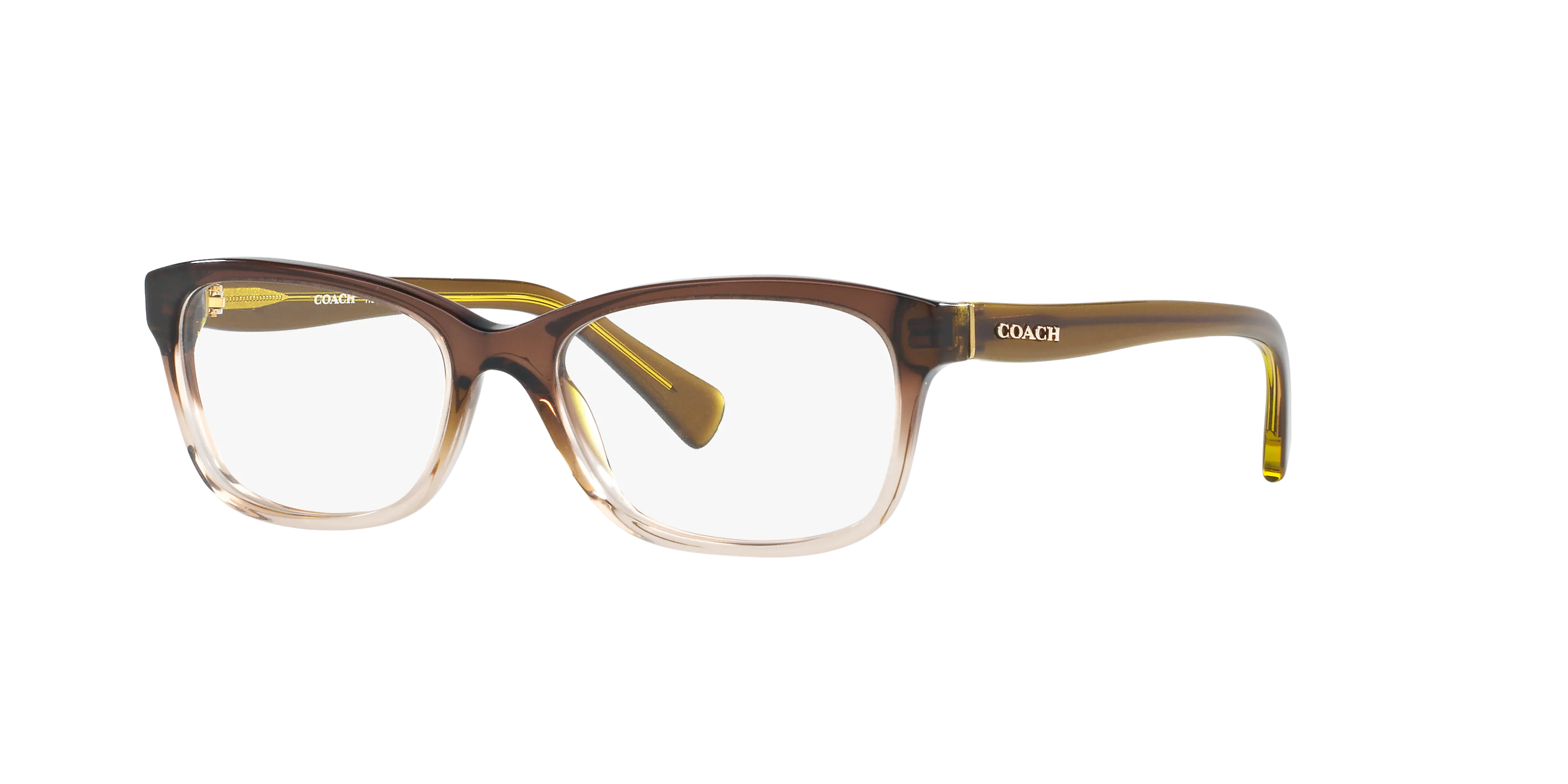 Angle_Left01, Coach HC 6089 Glasses