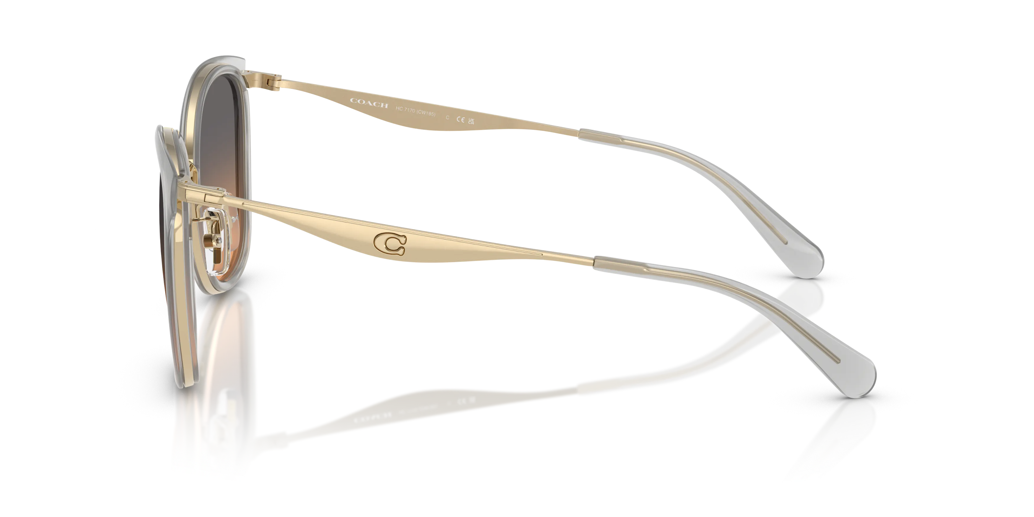 Angle_Left02, Coach HC7170 56/20