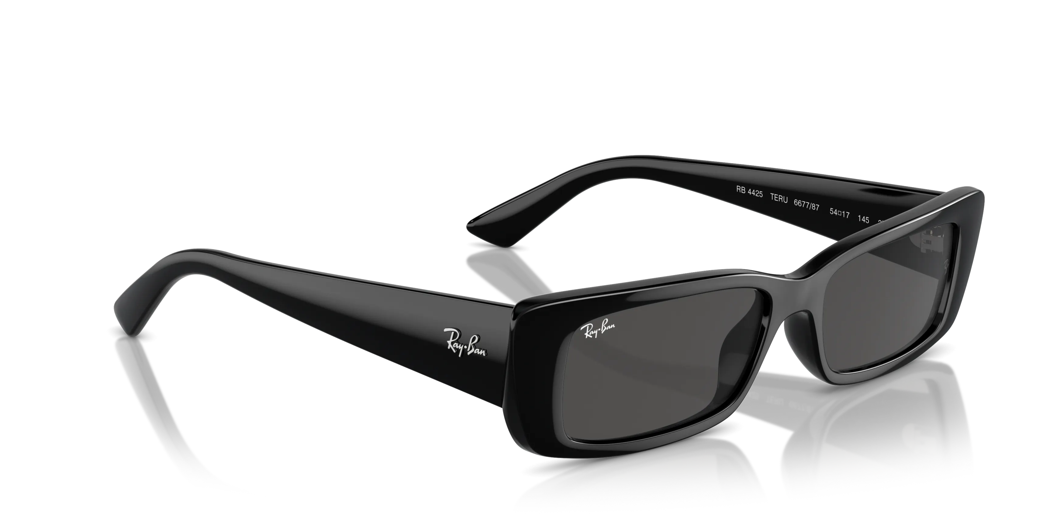 Angle_Right01, Ray-Ban Teru Bio-Based RB4425 667787