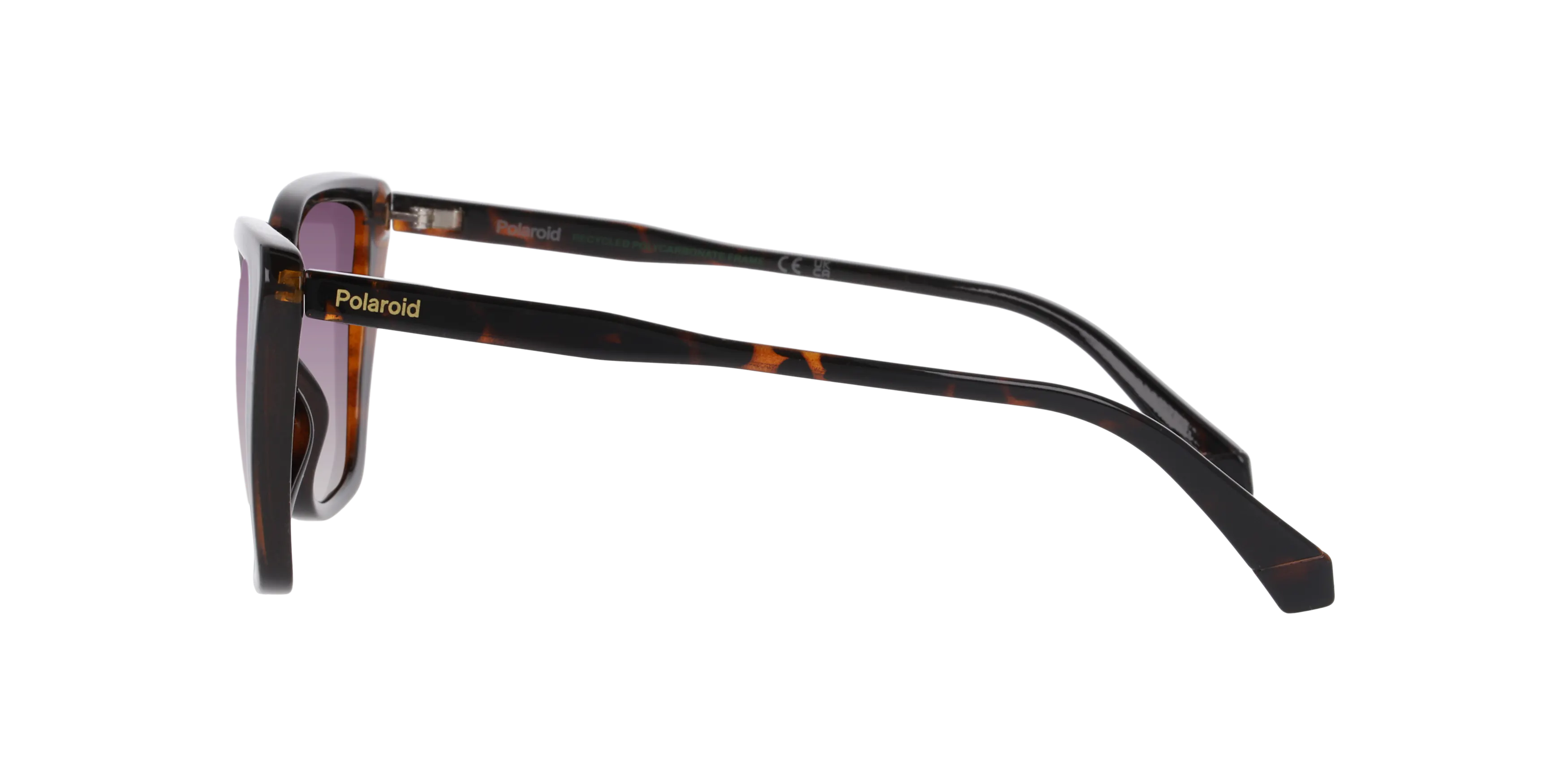 Angle_Left02, Polaroid PLD 4189/S P4000786 4402U3