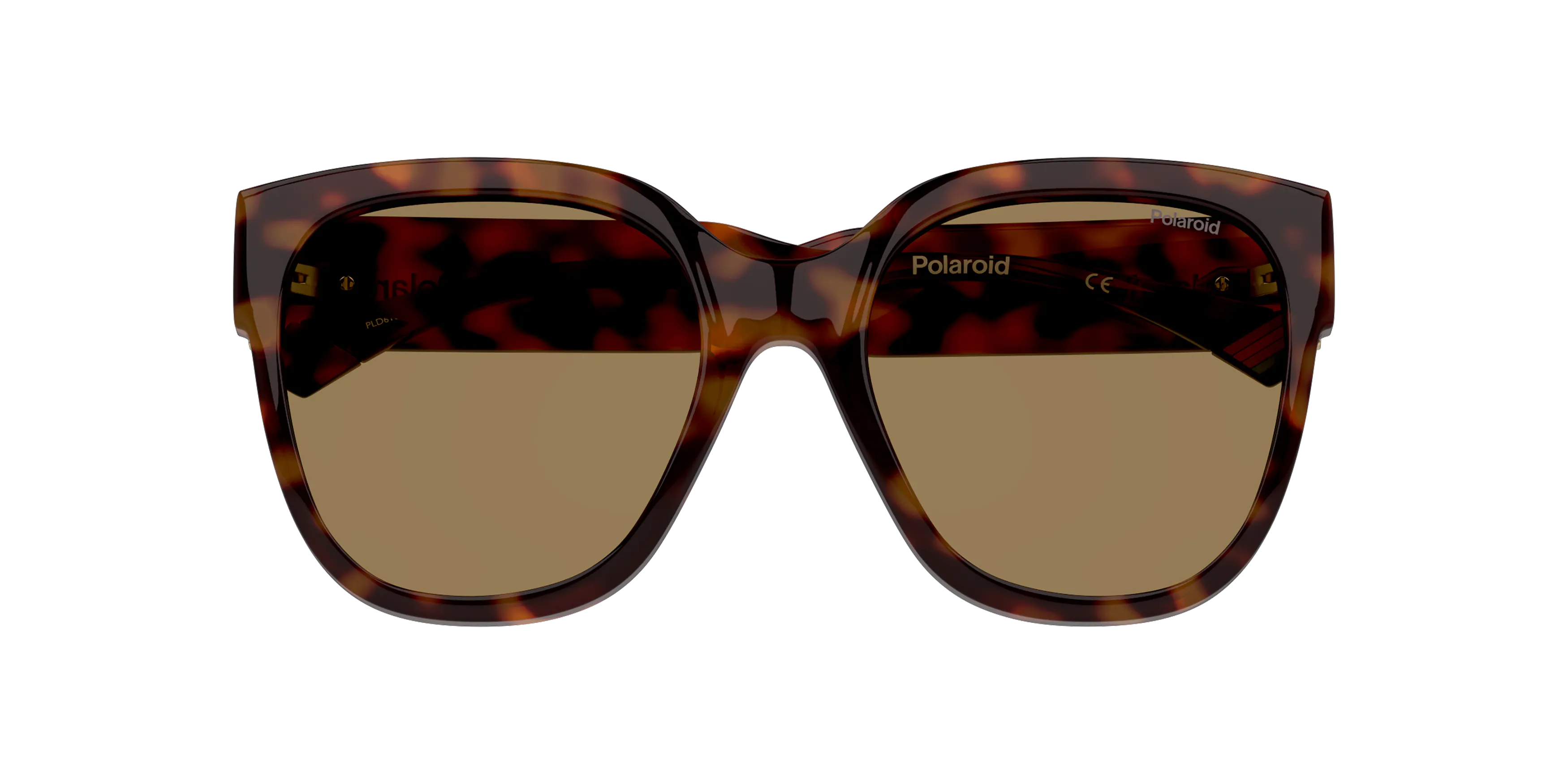 Polaroid Polarized Brown Square Ladies Sunglasses PLD 6180/S 0L7Q/LA 51 716736739816 - Sunglasses