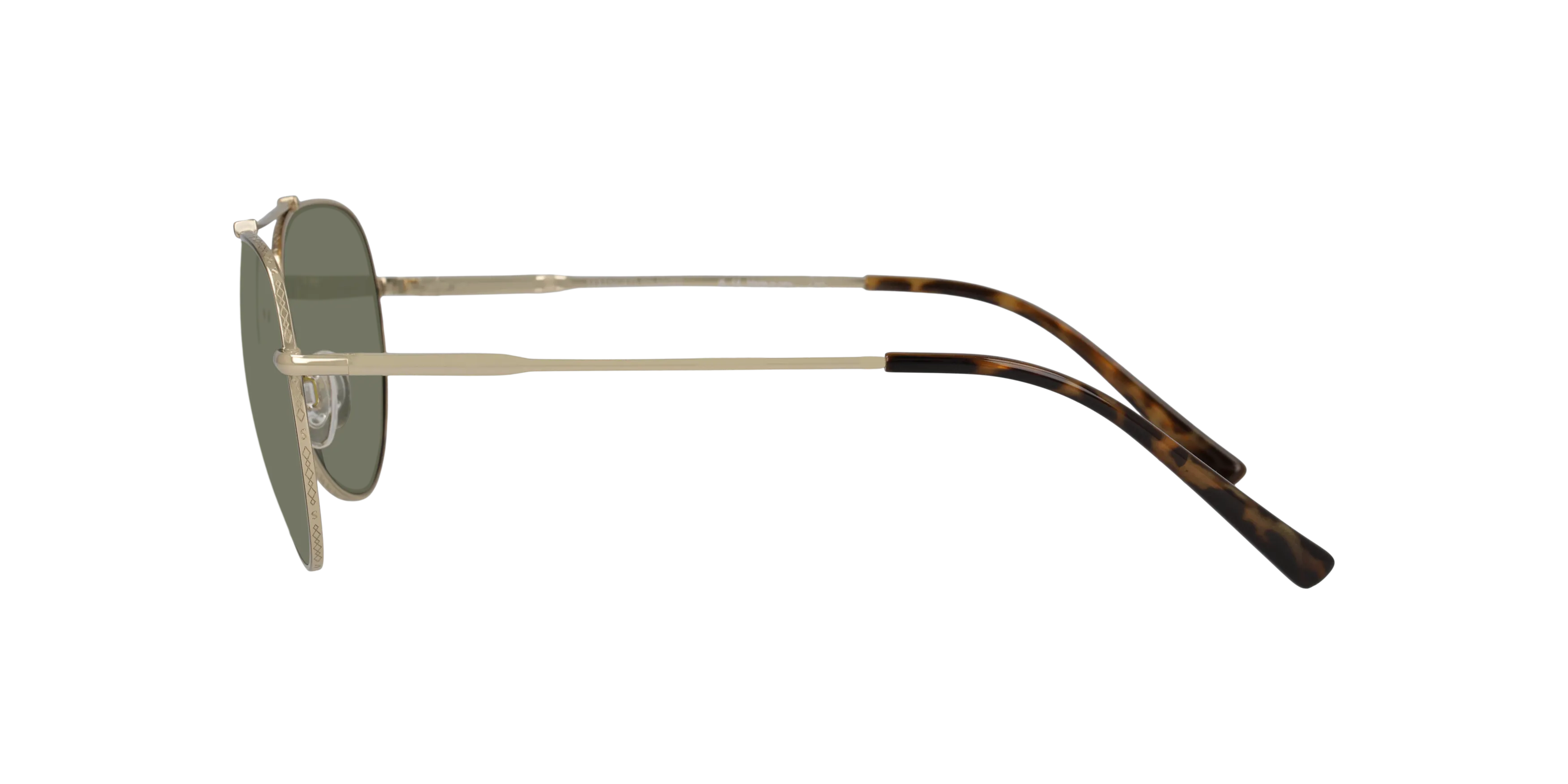 Angle_Left02, Serengeti Pete SS599005