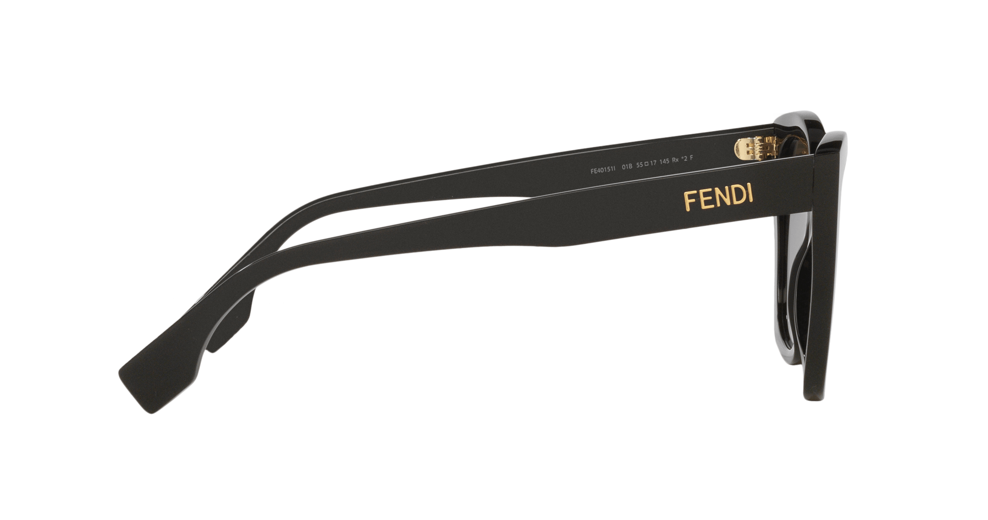 Angle_Right01, Fendi FN000806