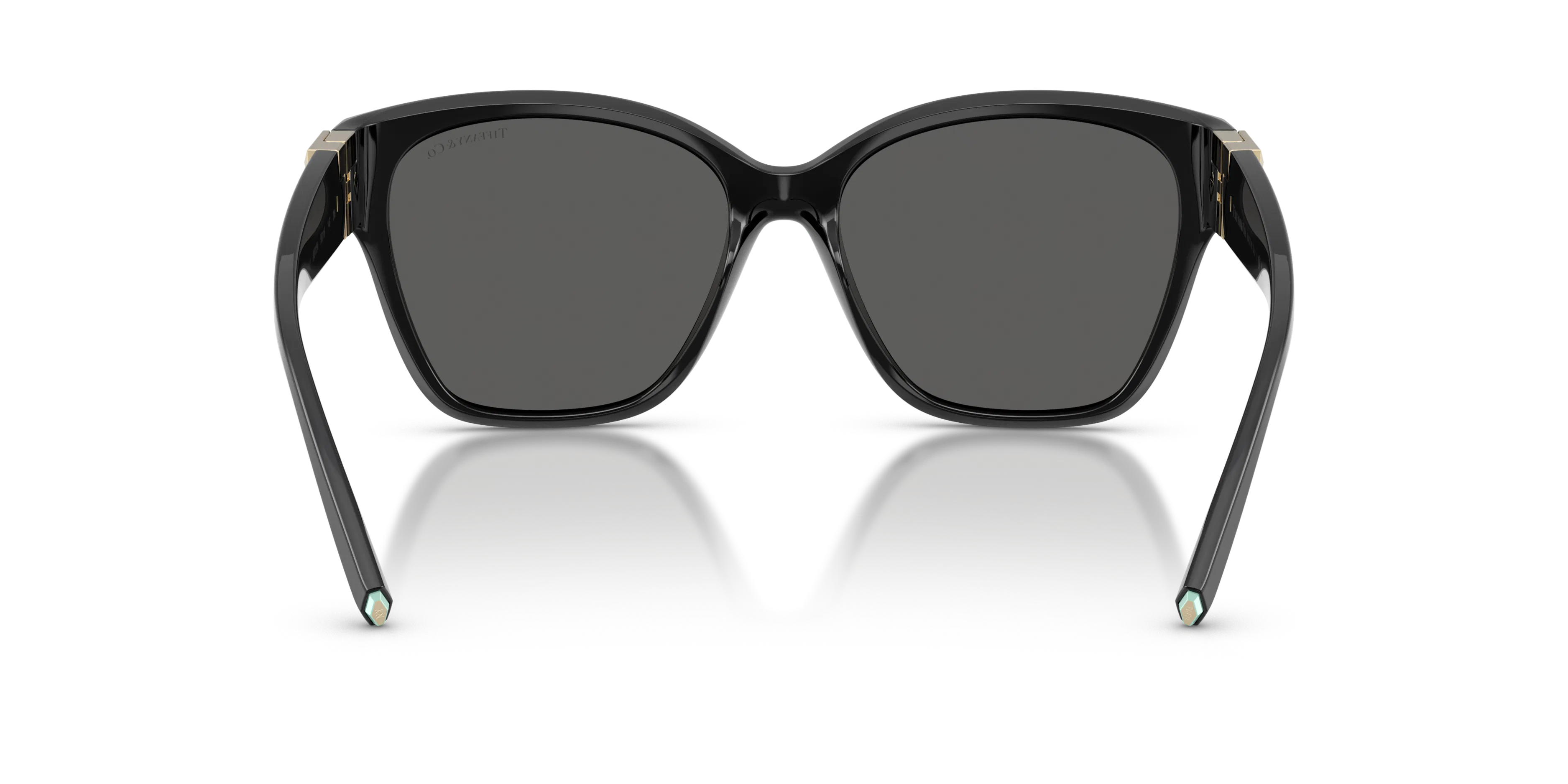 Detail02, Tiffany & Co. TF 4254U Sunglasses