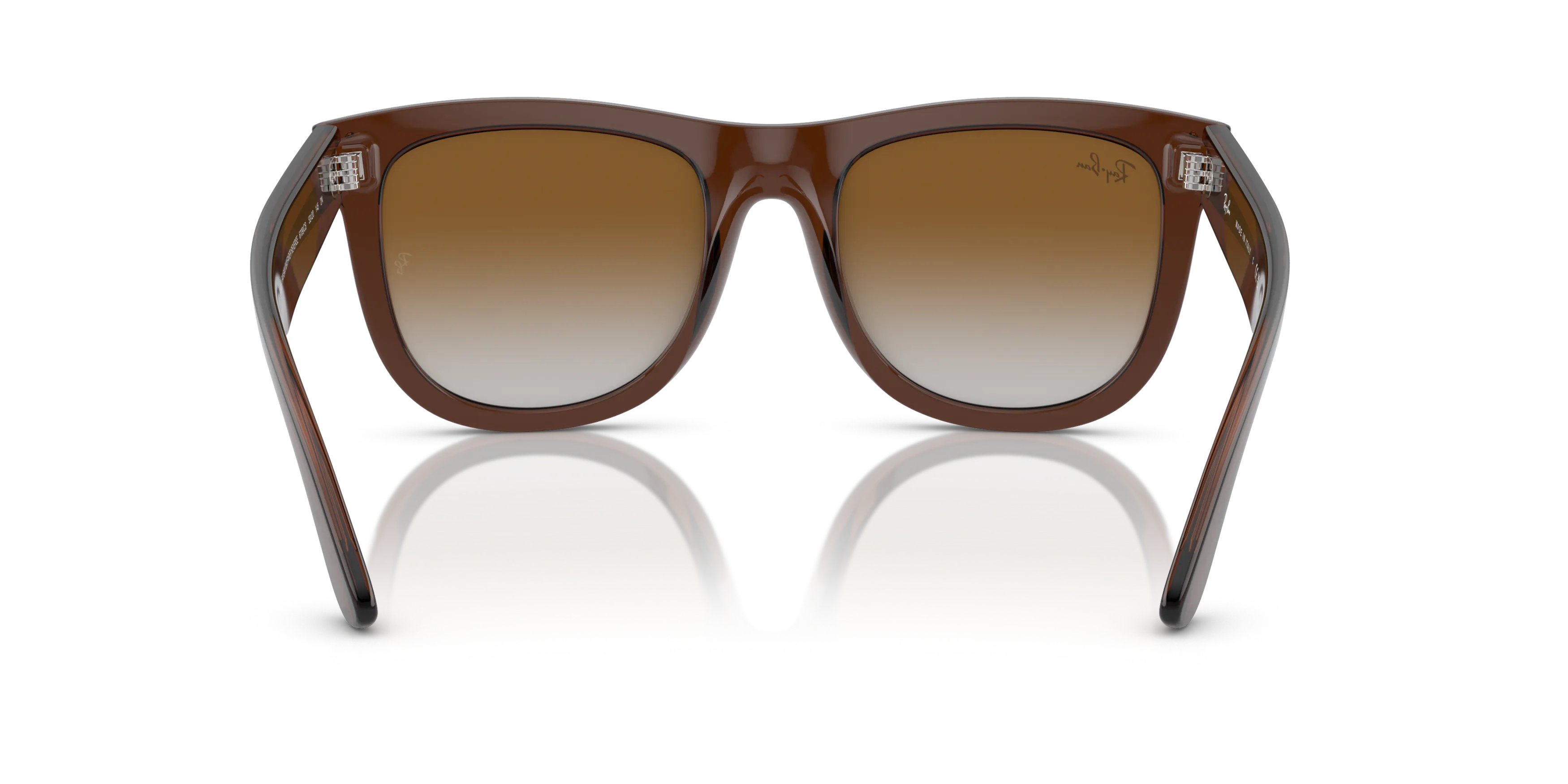 Detail02, Ray-Ban Wayfarer Reverse RBR 0502S Sunglasses