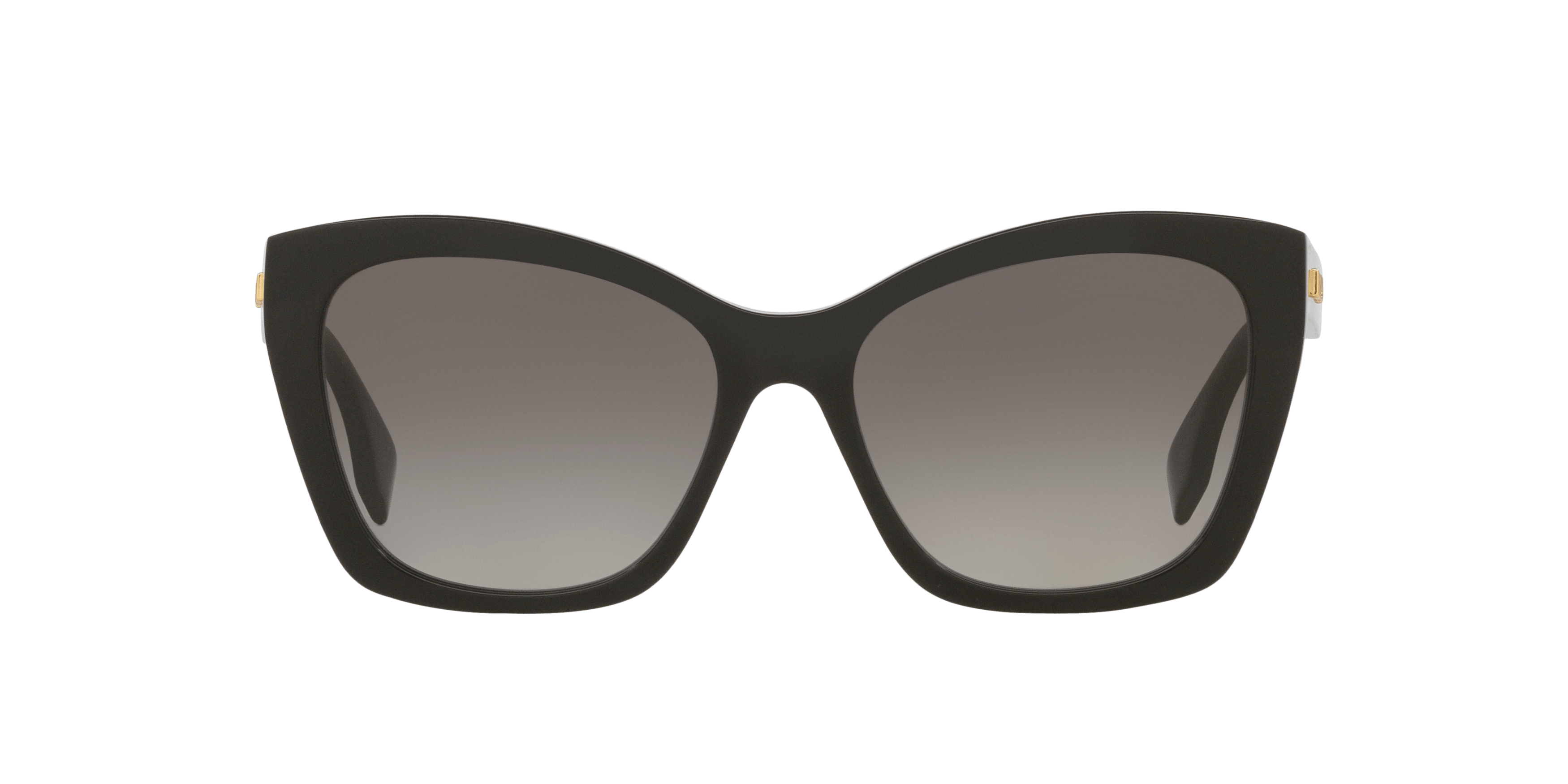 Front, Fendi FN000806
