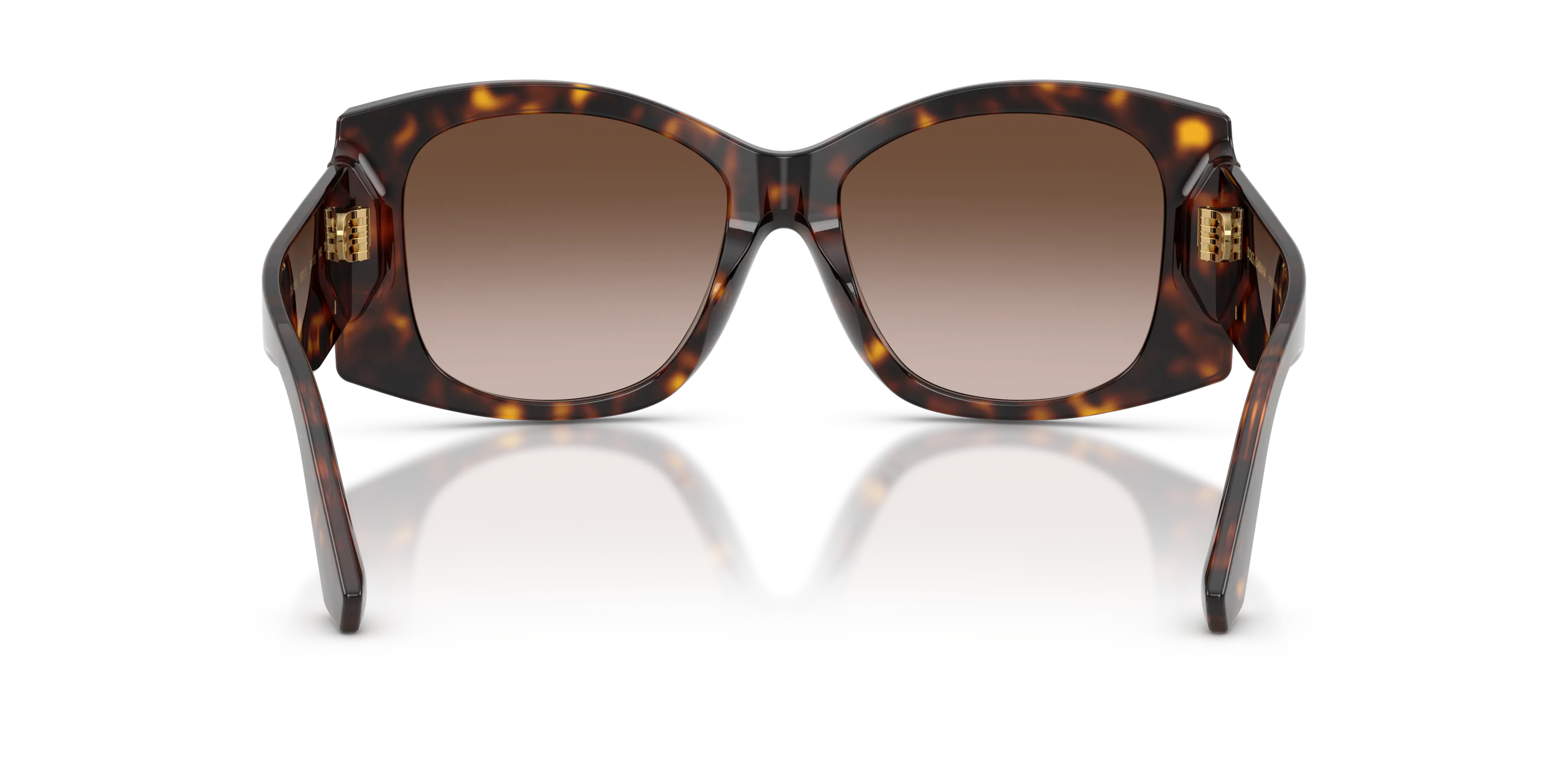 Detail02, Dolce & Gabbana DG 4501 Sunglasses