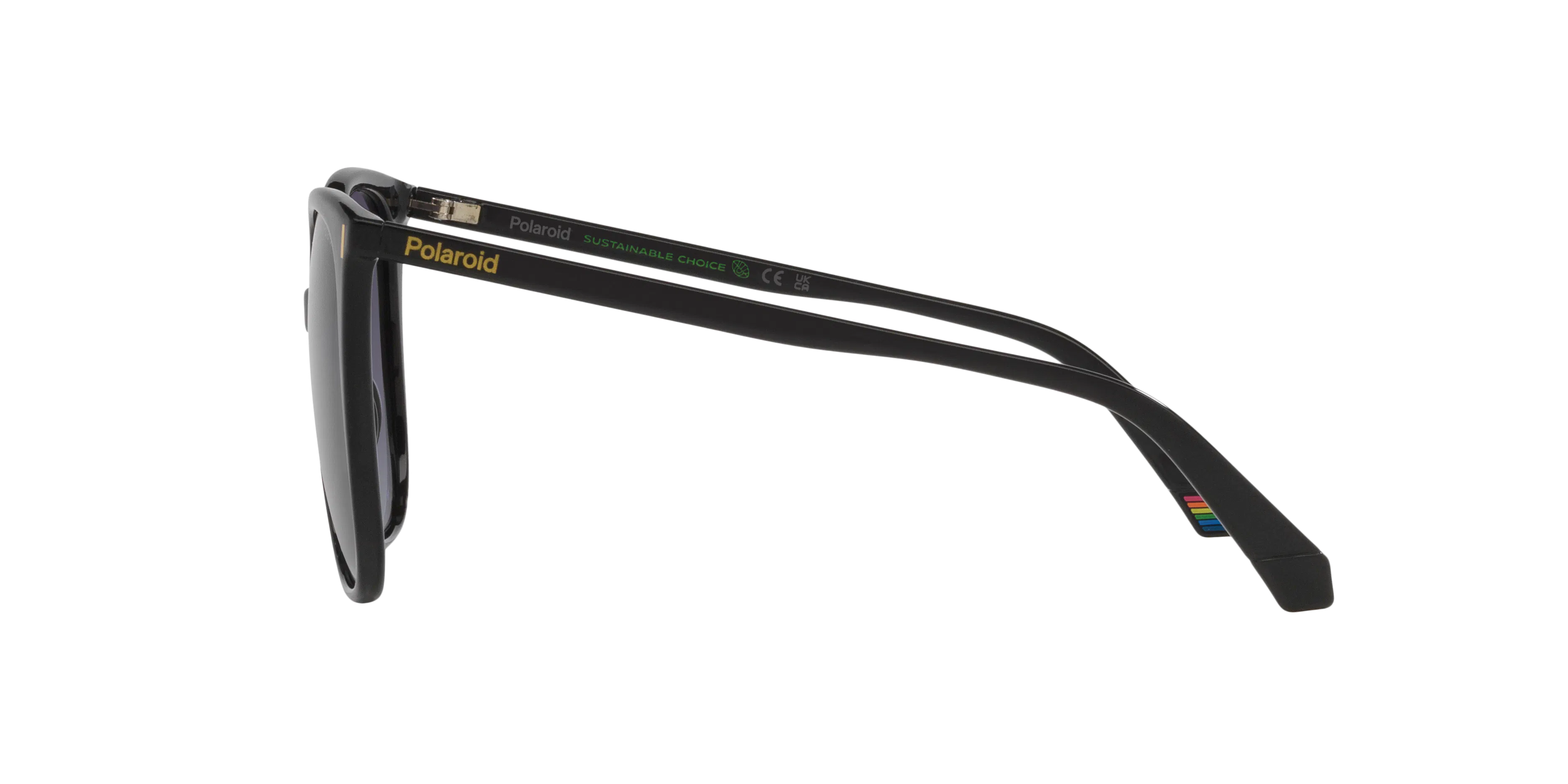 Angle_Left02, Polaroid PLD 6218/S P4000681 1100L5