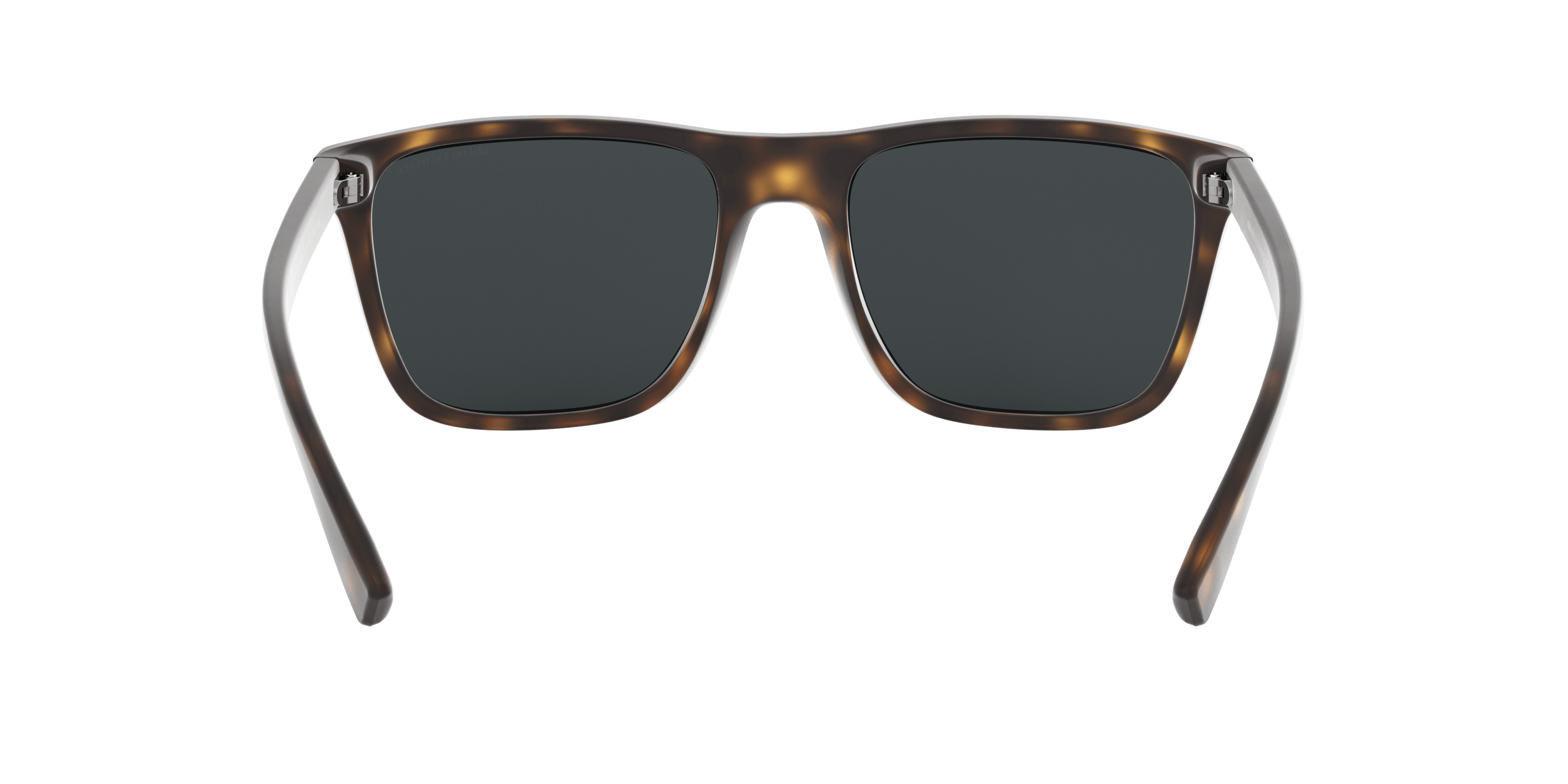 Detail02, Armani Exchange AX 4080S Sunglasses