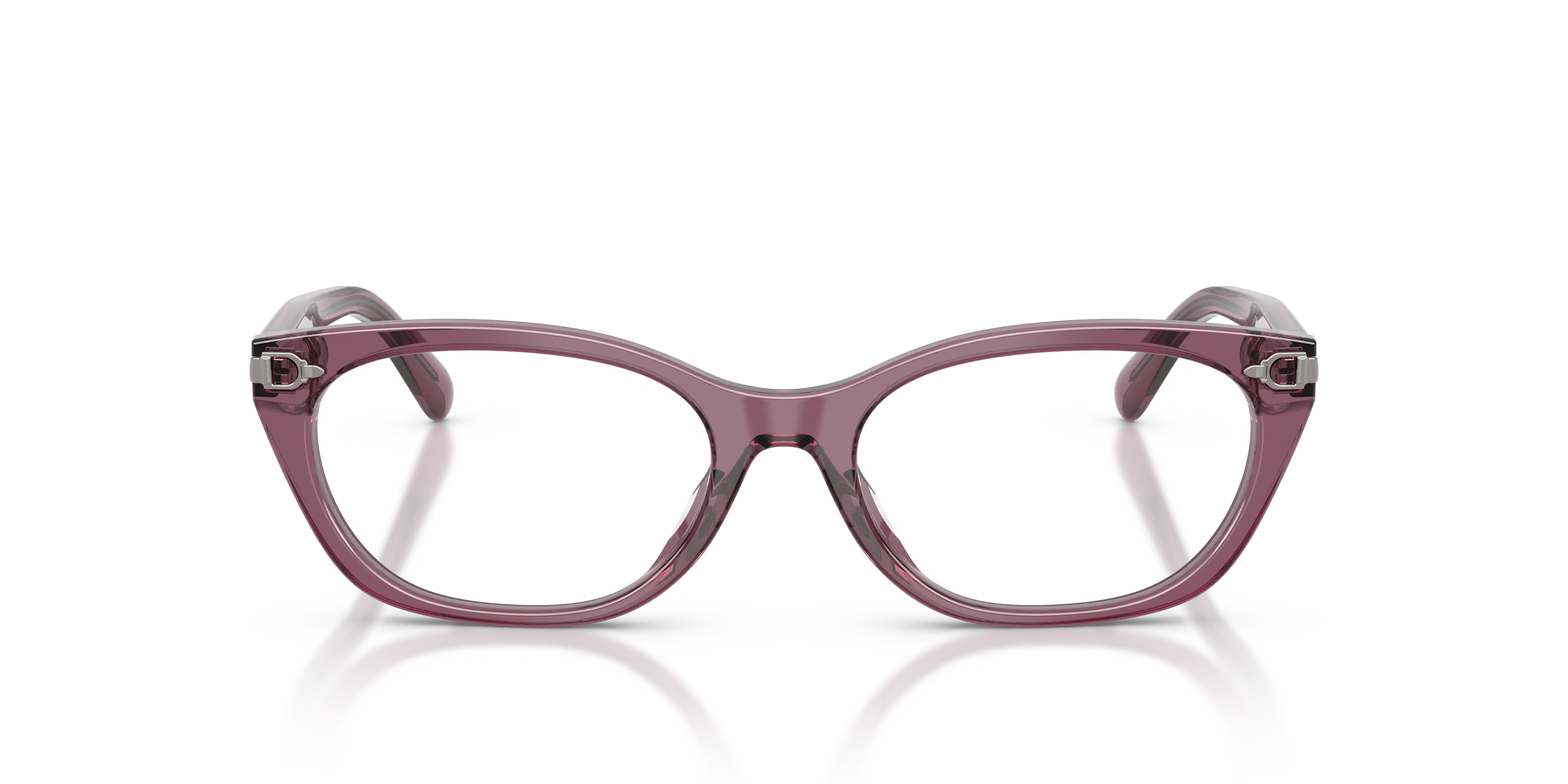 Ralph Lauren RL6268U 6389